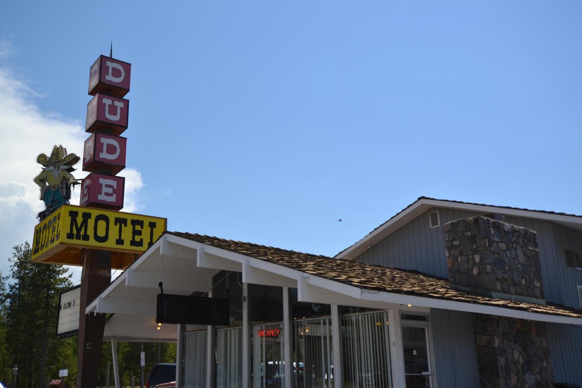 Dude & Roundup photo 5