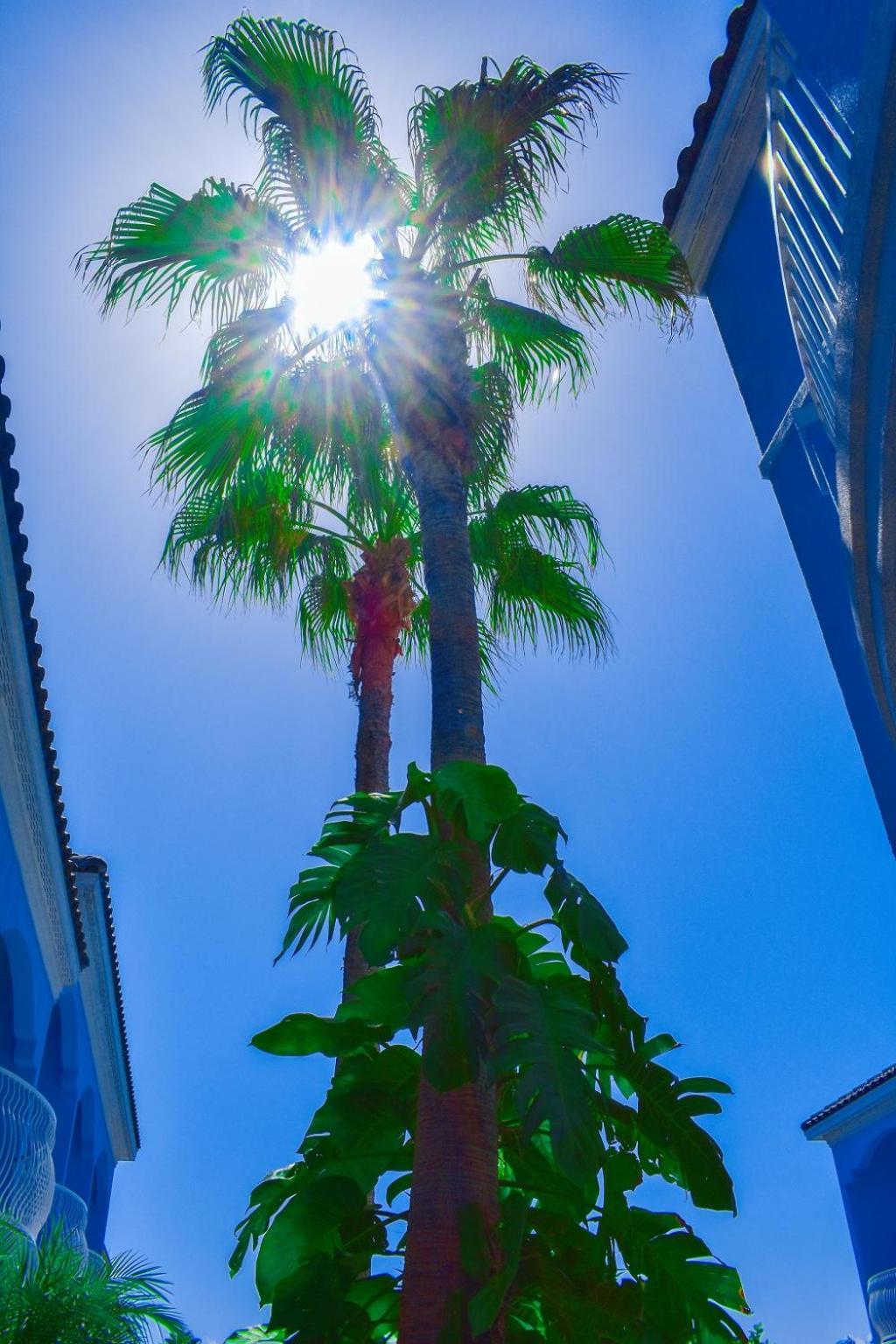 Casa Bella Hotel and Suites photo 10