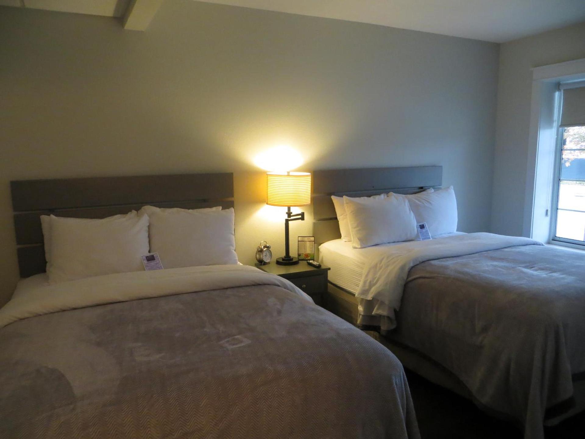 Brio Beach Inn photo 15