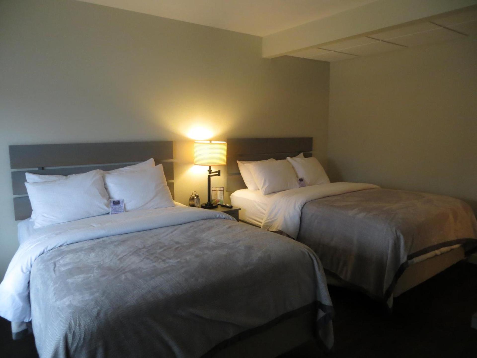 Brio Beach Inn photo 17