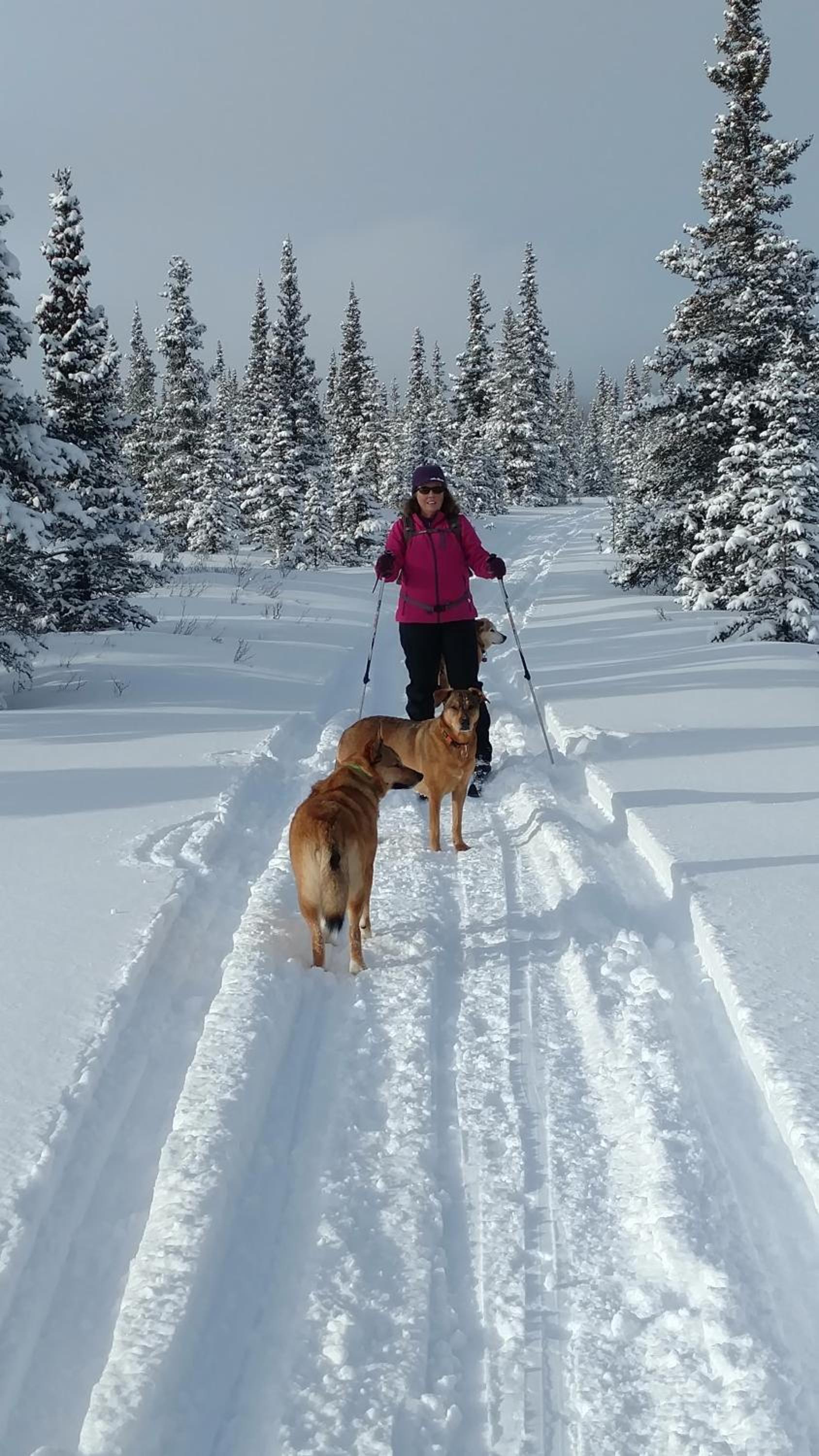 Backwoods Lodge photo 22