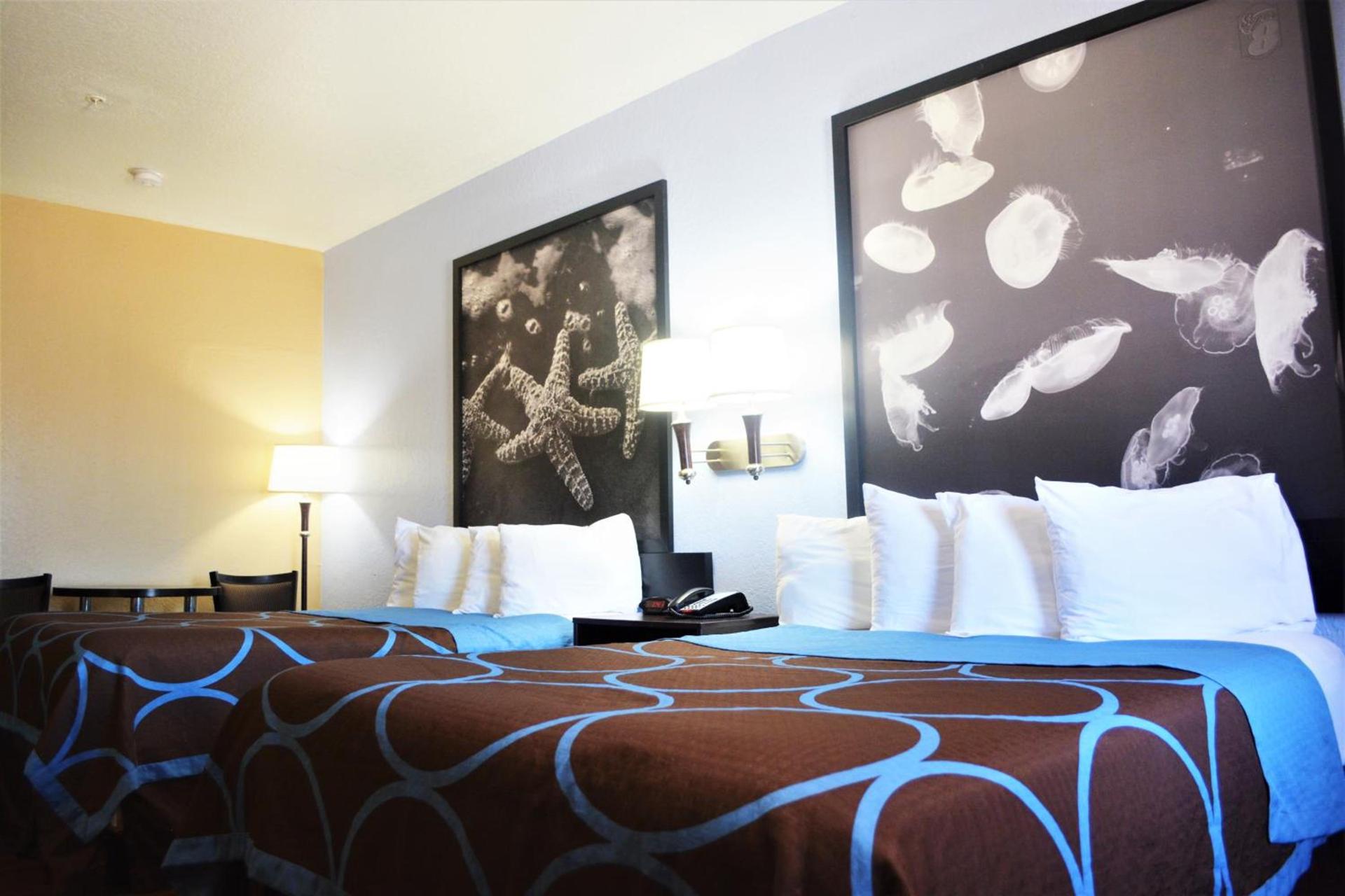 Super 8 by Wyndham Galveston photo 33