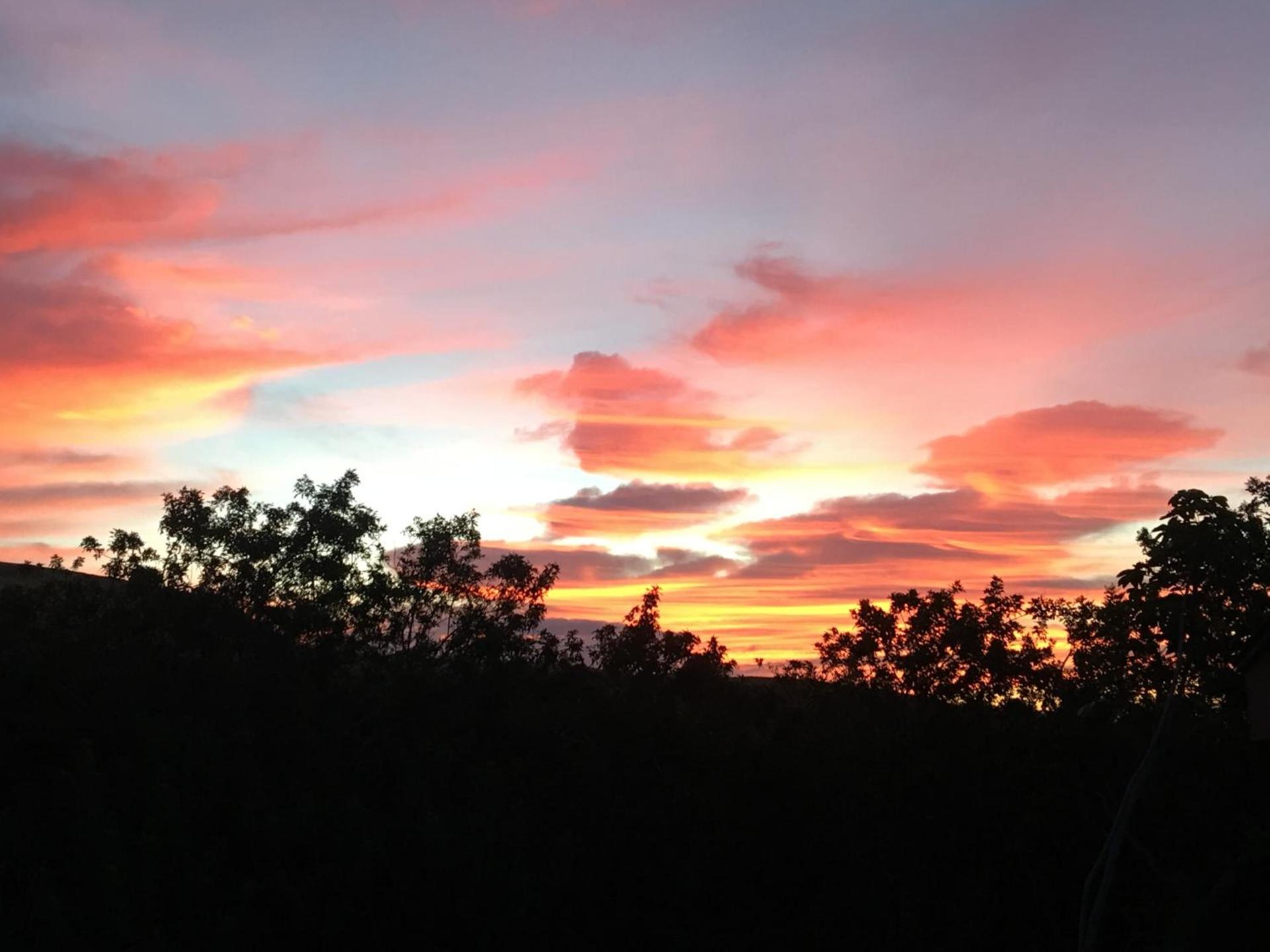 Hawaii Island Resort photo 13