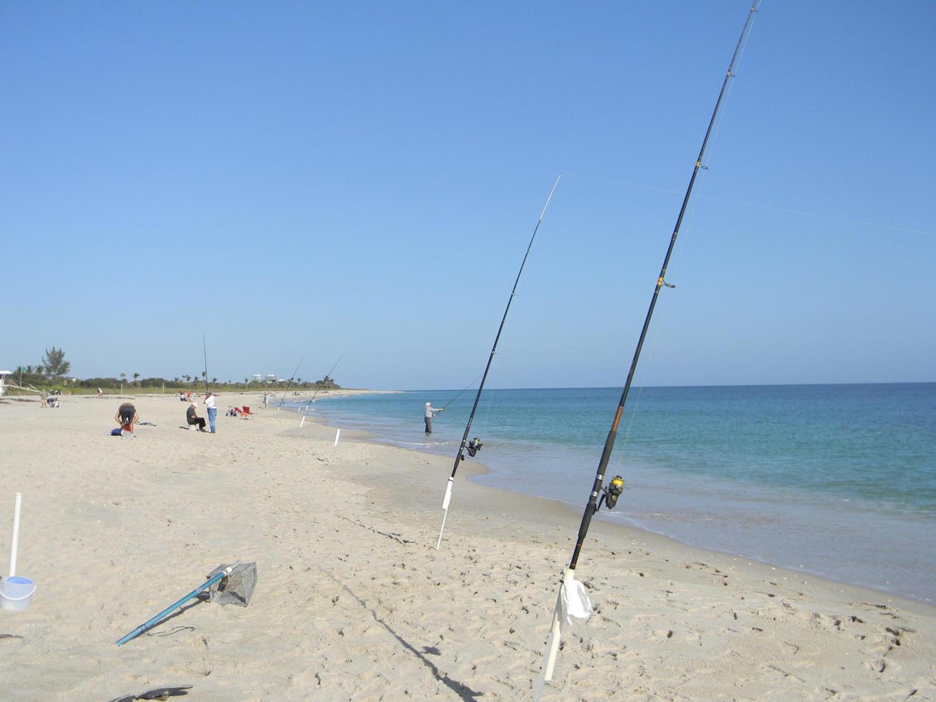 Seaspray Surf Lodge photo 76