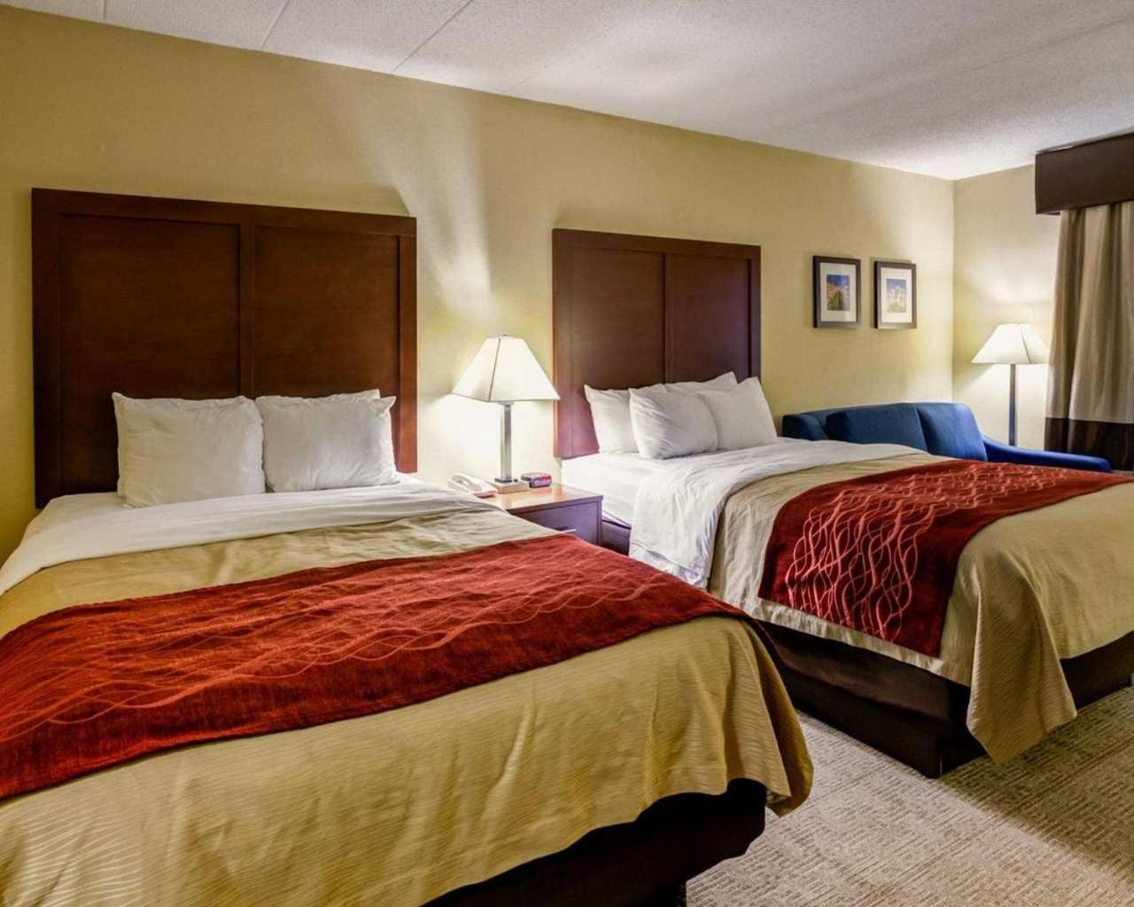 Comfort Inn Lexington I-75 photo 56