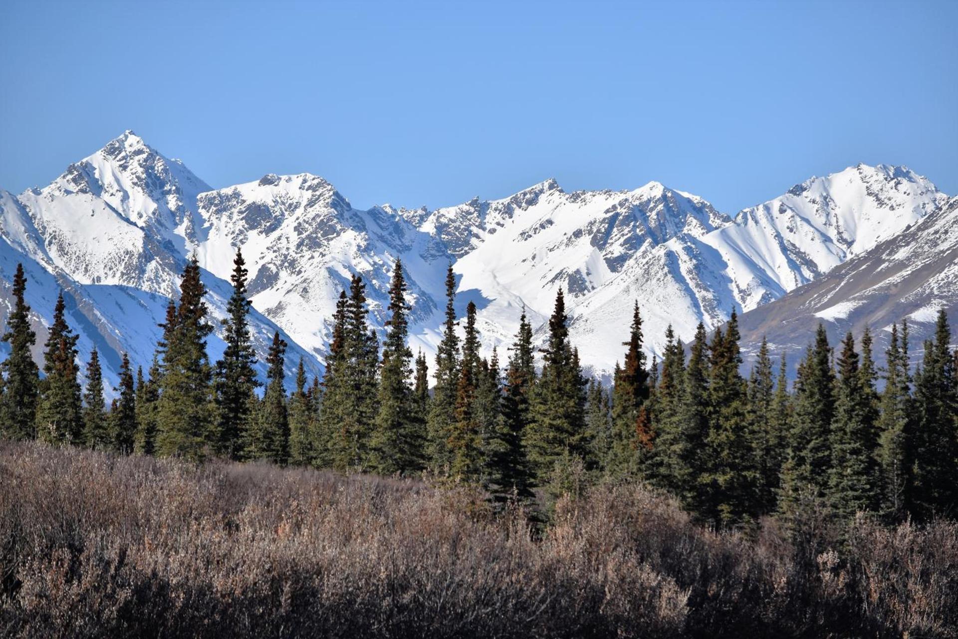 Backwoods Lodge photo 23