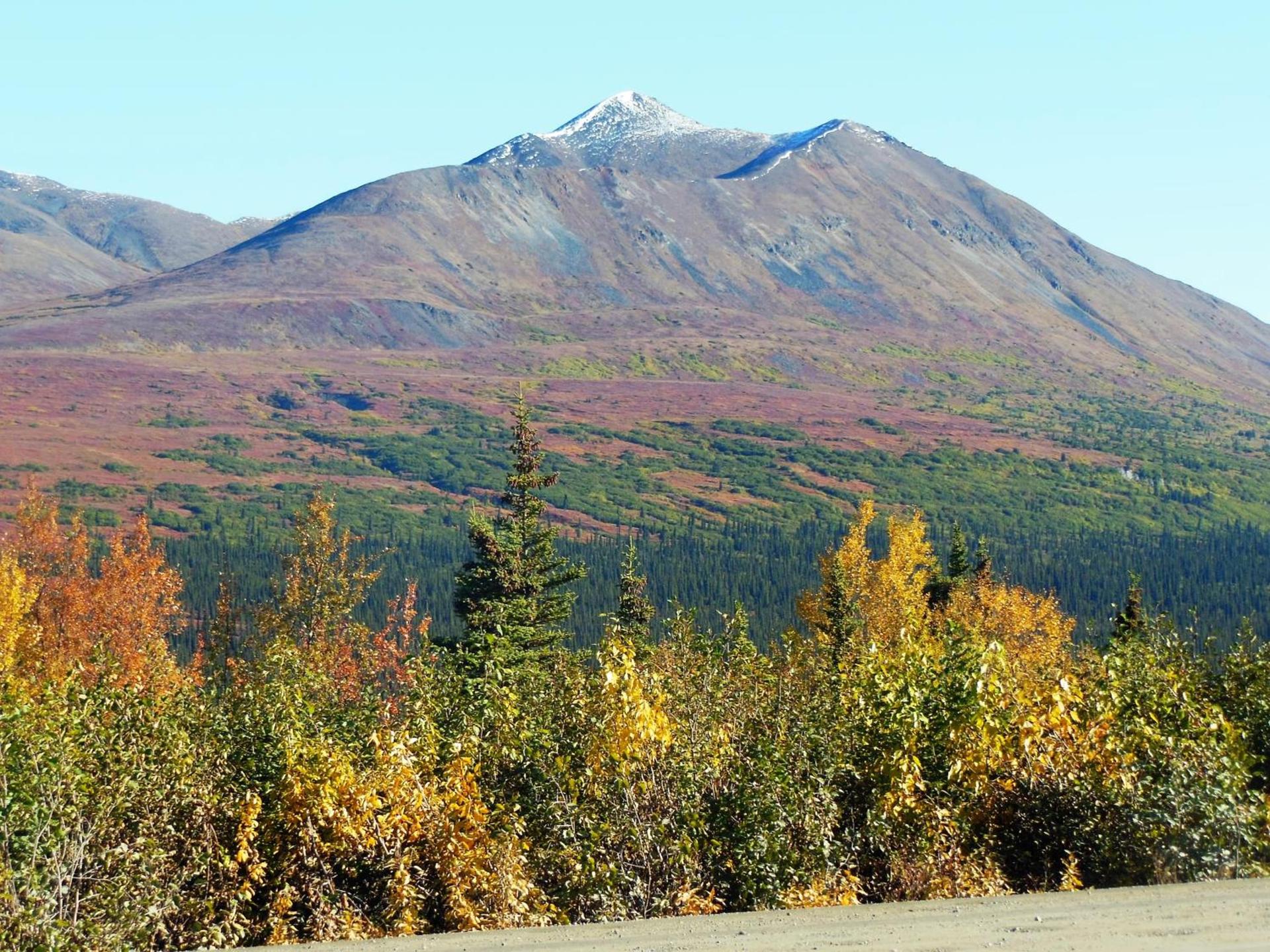 Backwoods Lodge photo 11