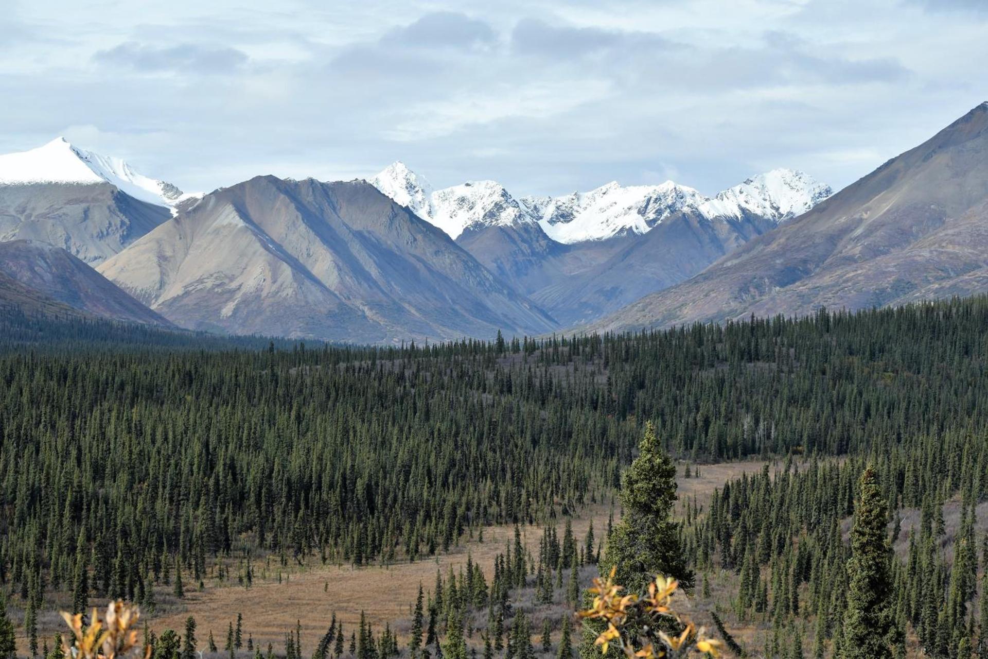 Backwoods Lodge photo 10