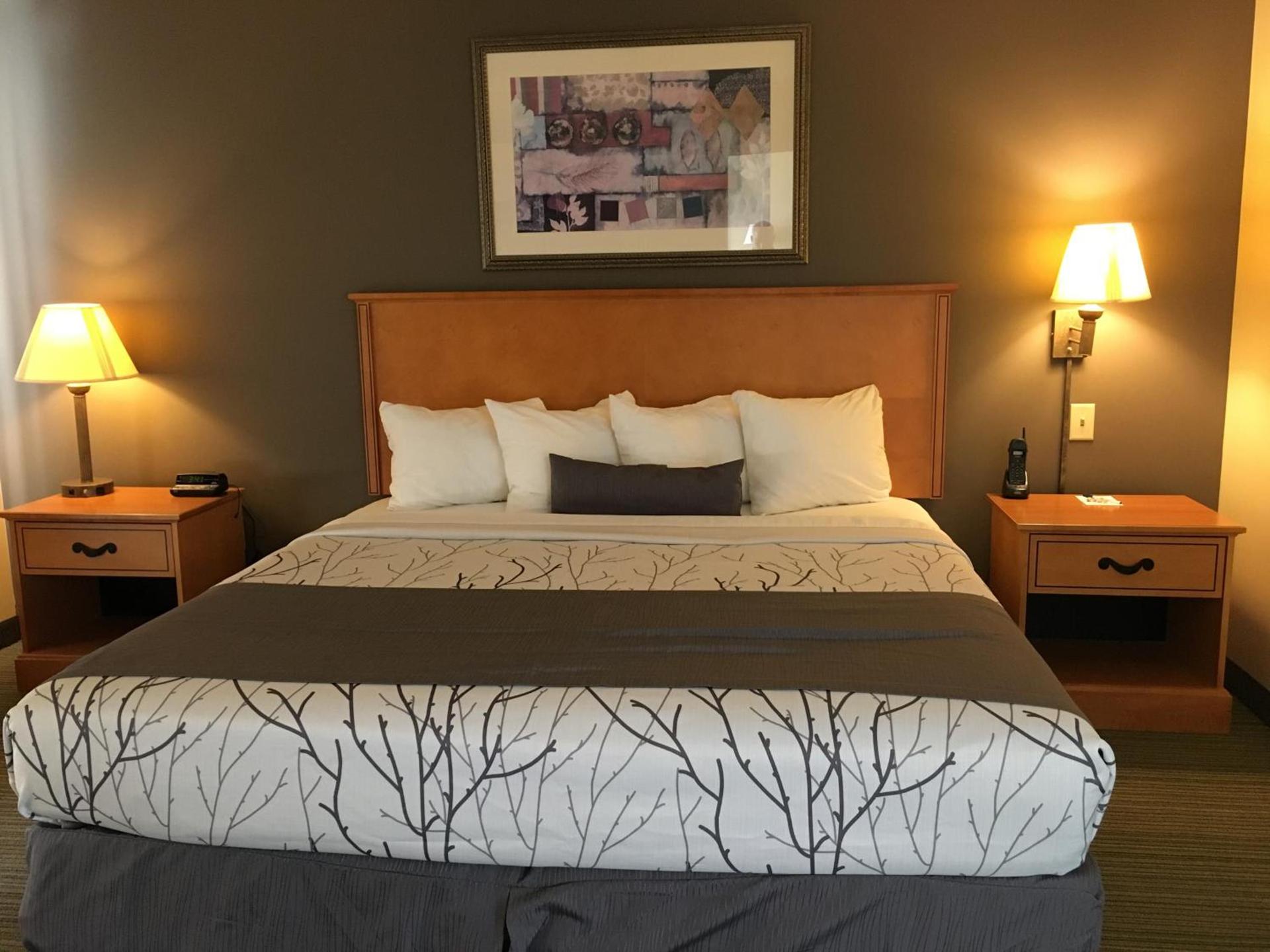 Wingate by Wyndham Coon Rapids photo 42