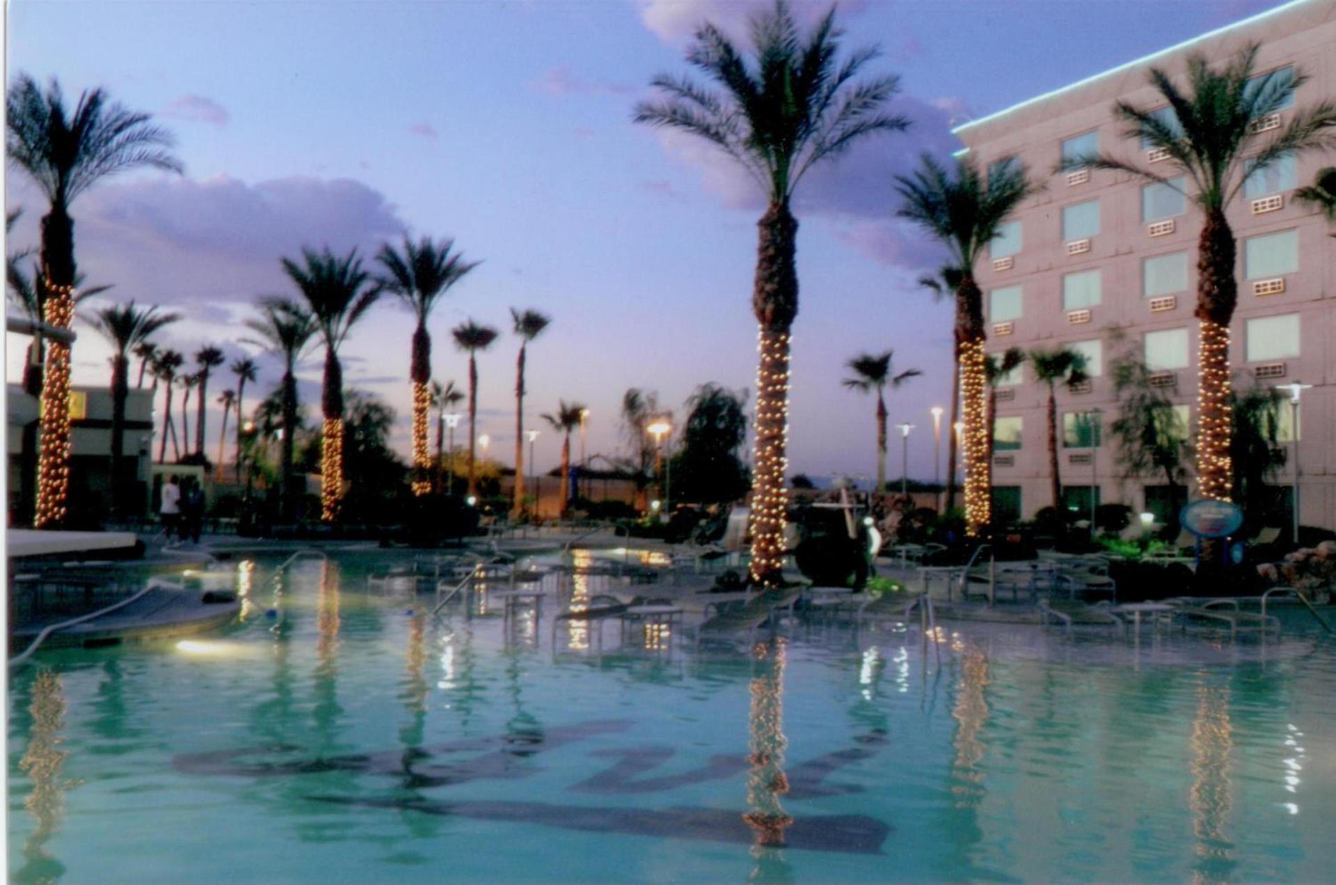 Avi Resort & Casino photo 23