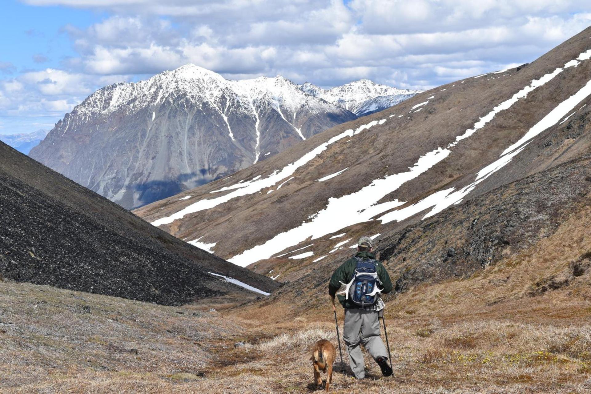 Backwoods Lodge photo 12