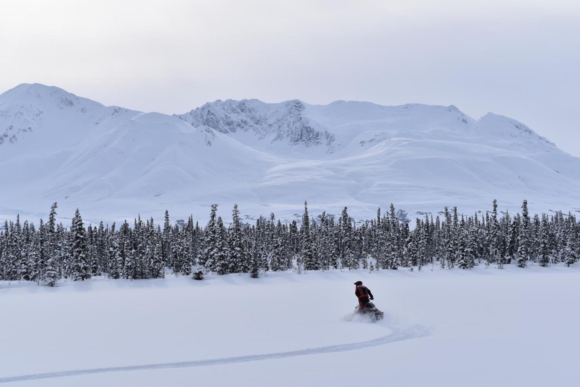 Backwoods Lodge photo 20