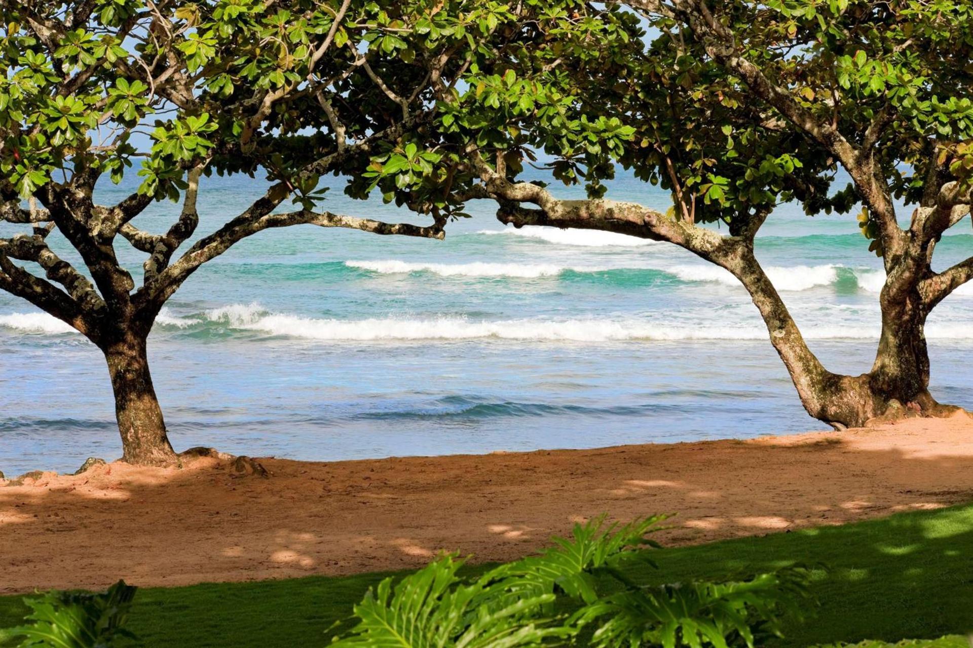 1 Hotel Hanalei Bay photo 9