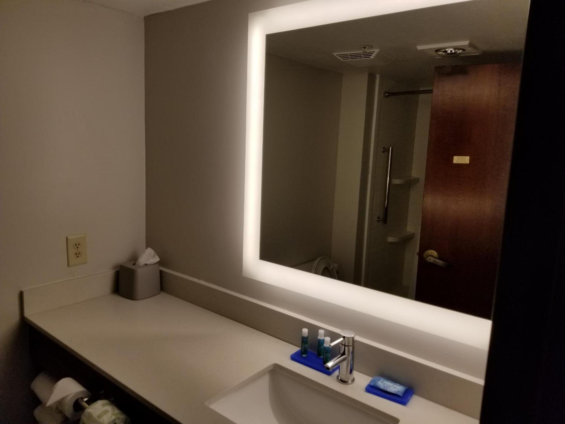 Holiday Inn Express Birch Run-Frankenmuth Area by IHG photo 6