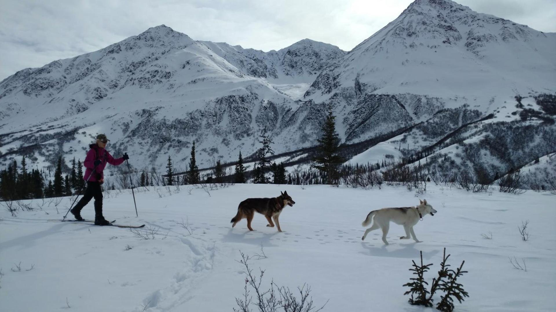 Backwoods Lodge photo 21