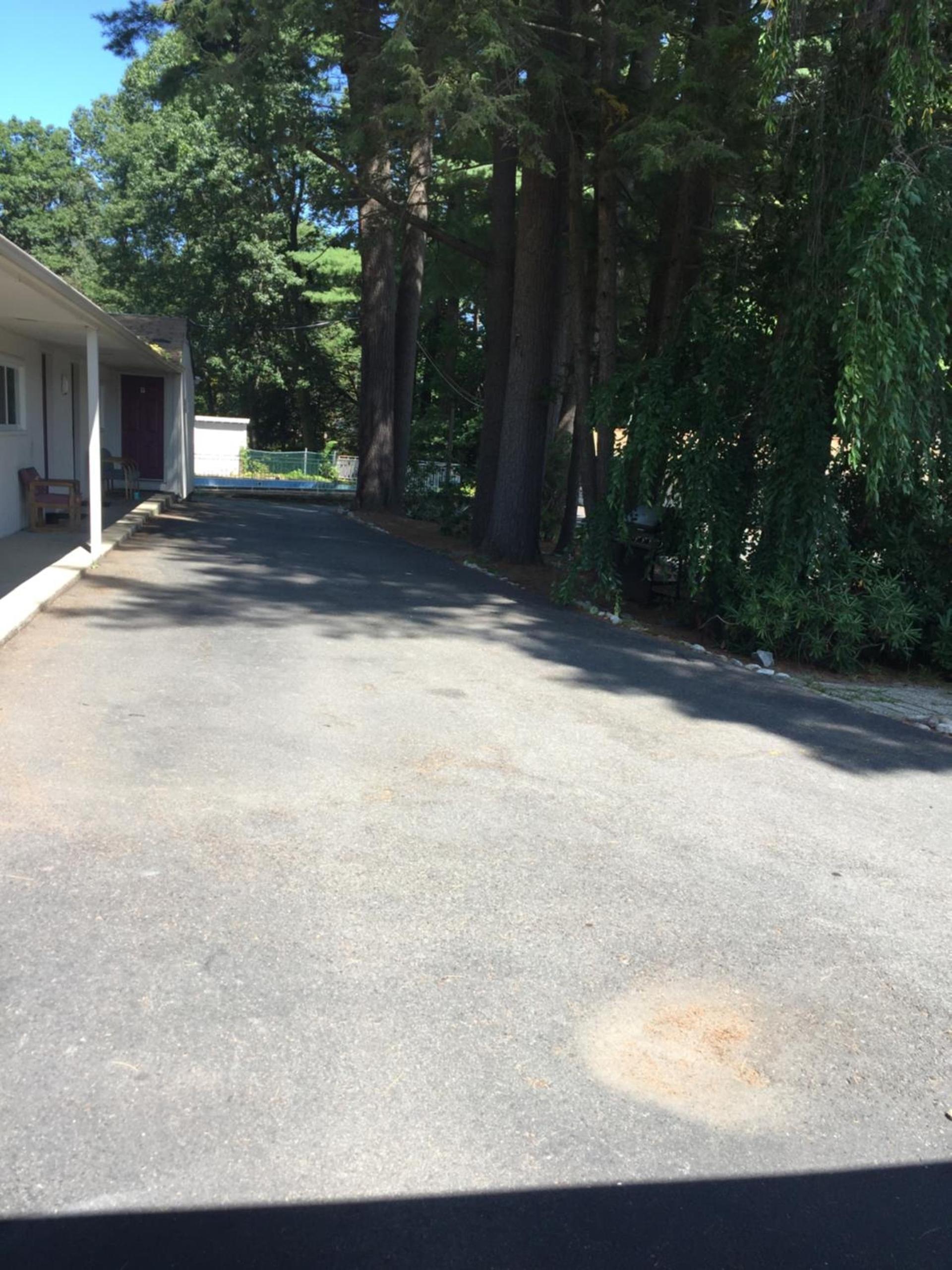North King Motel photo 7
