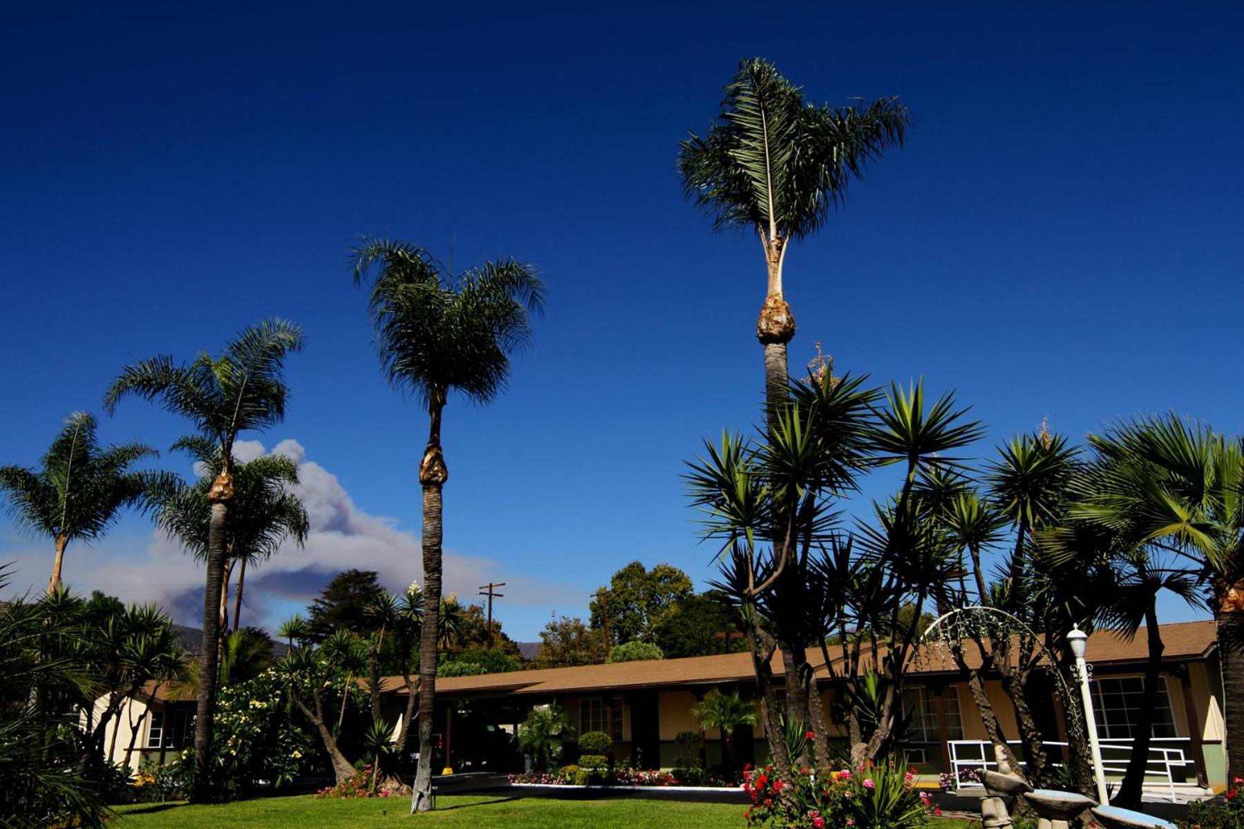 Palm Tropics Motel photo 14