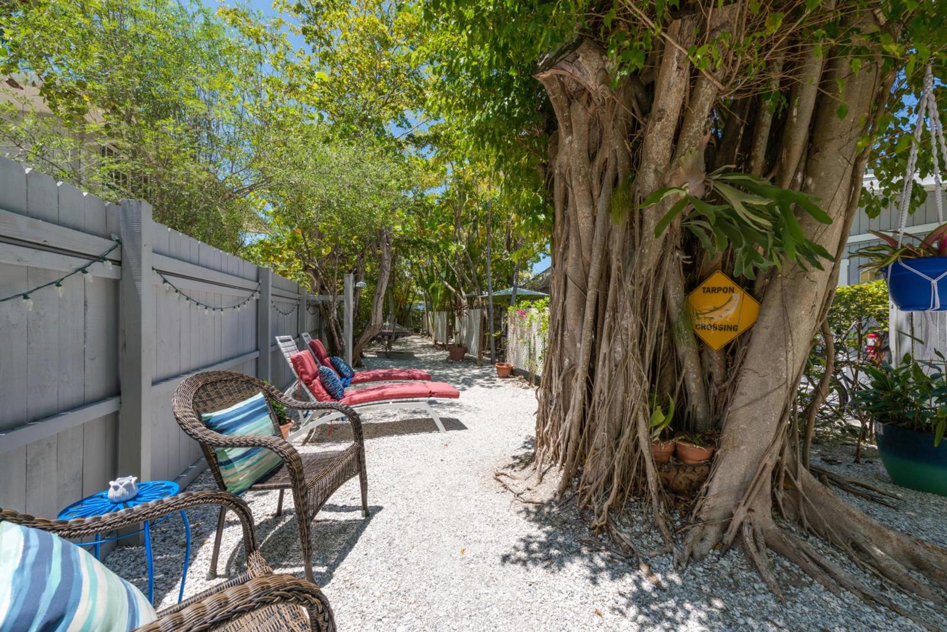 Tarpon Tale Inn photo 15