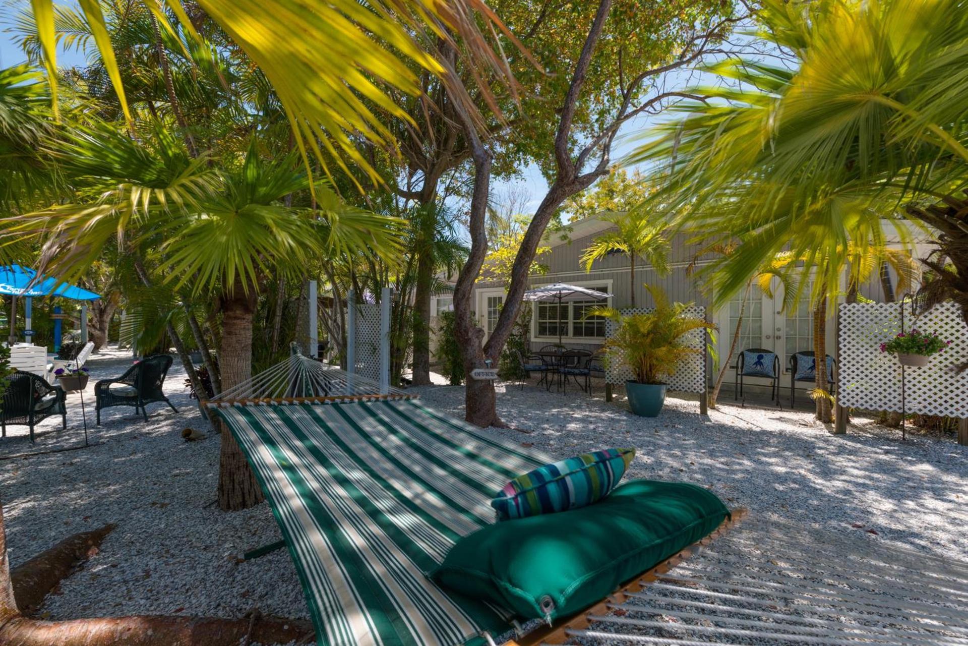 Tarpon Tale Inn photo 16