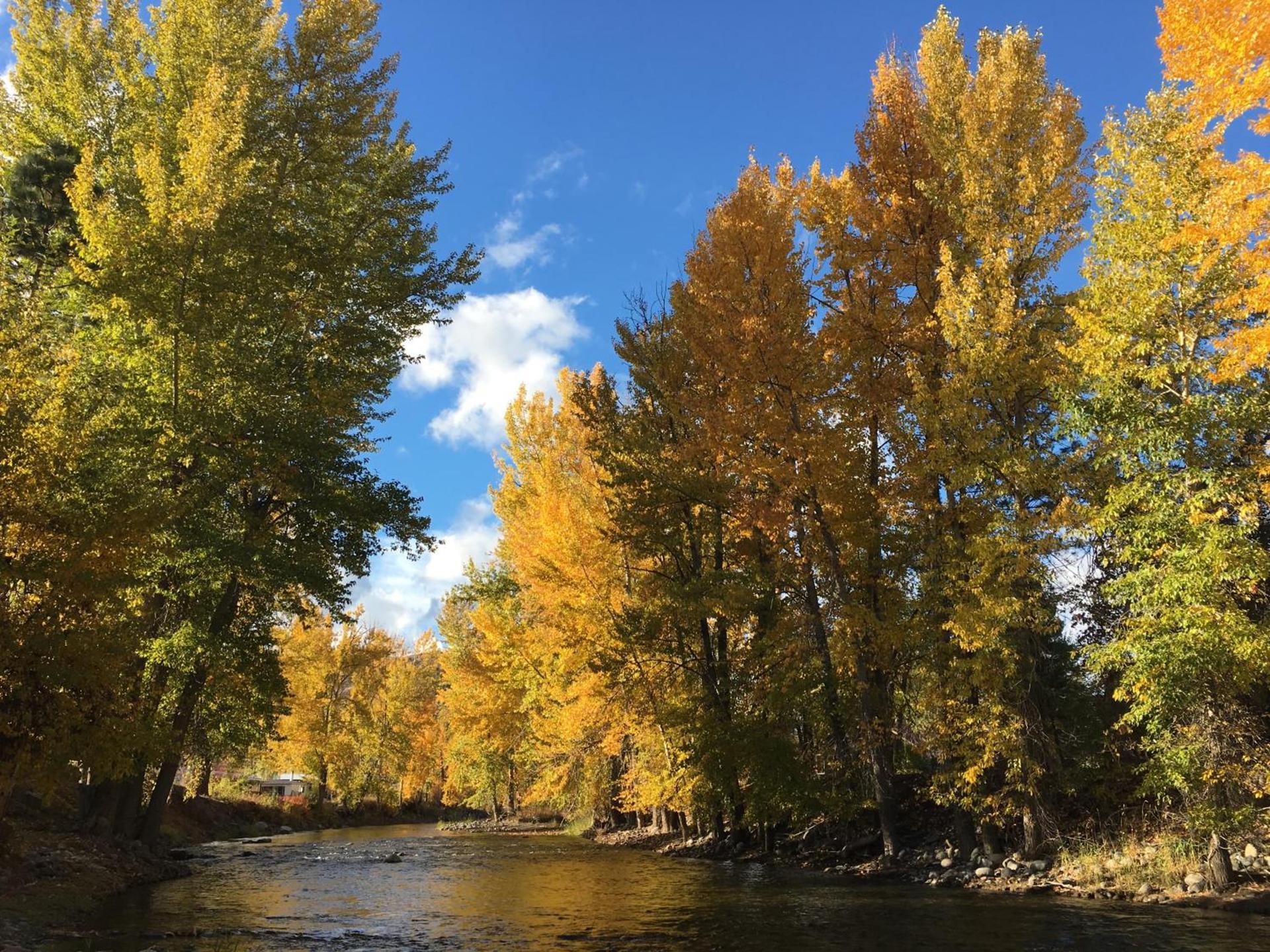 Twisp River Suites photo 38