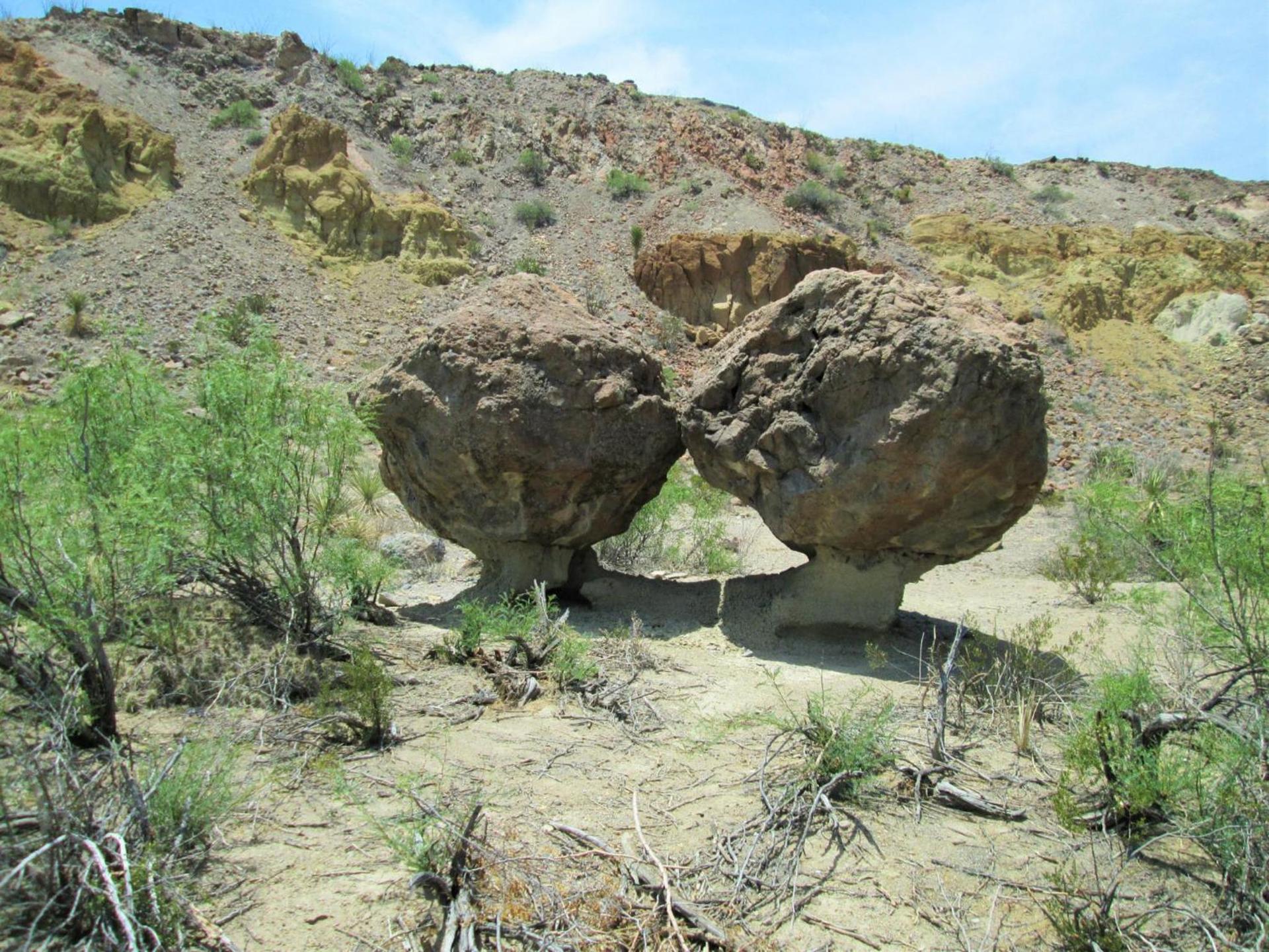 Terlingua Ranch Lodge photo 4