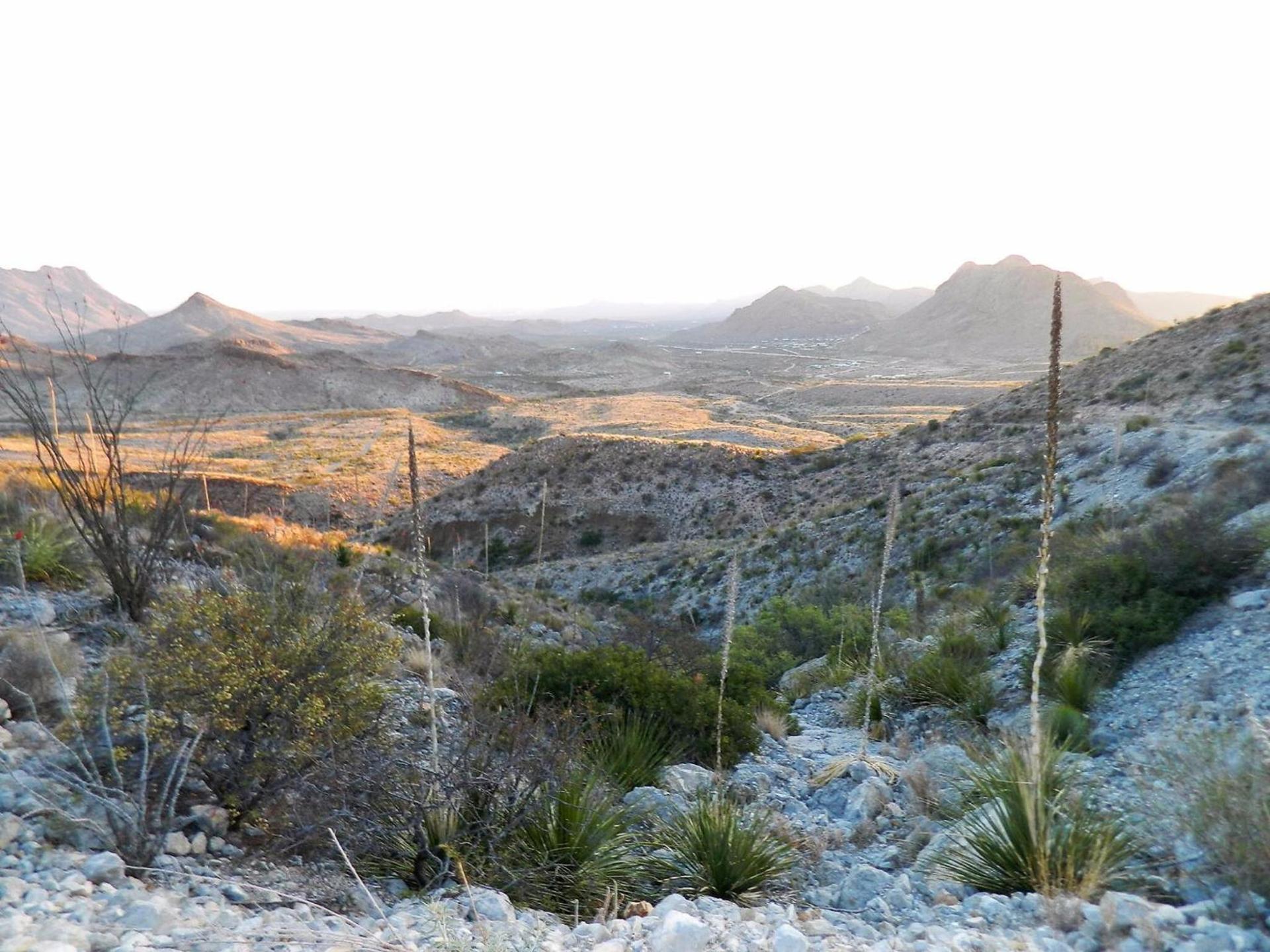 Terlingua Ranch Lodge photo 43