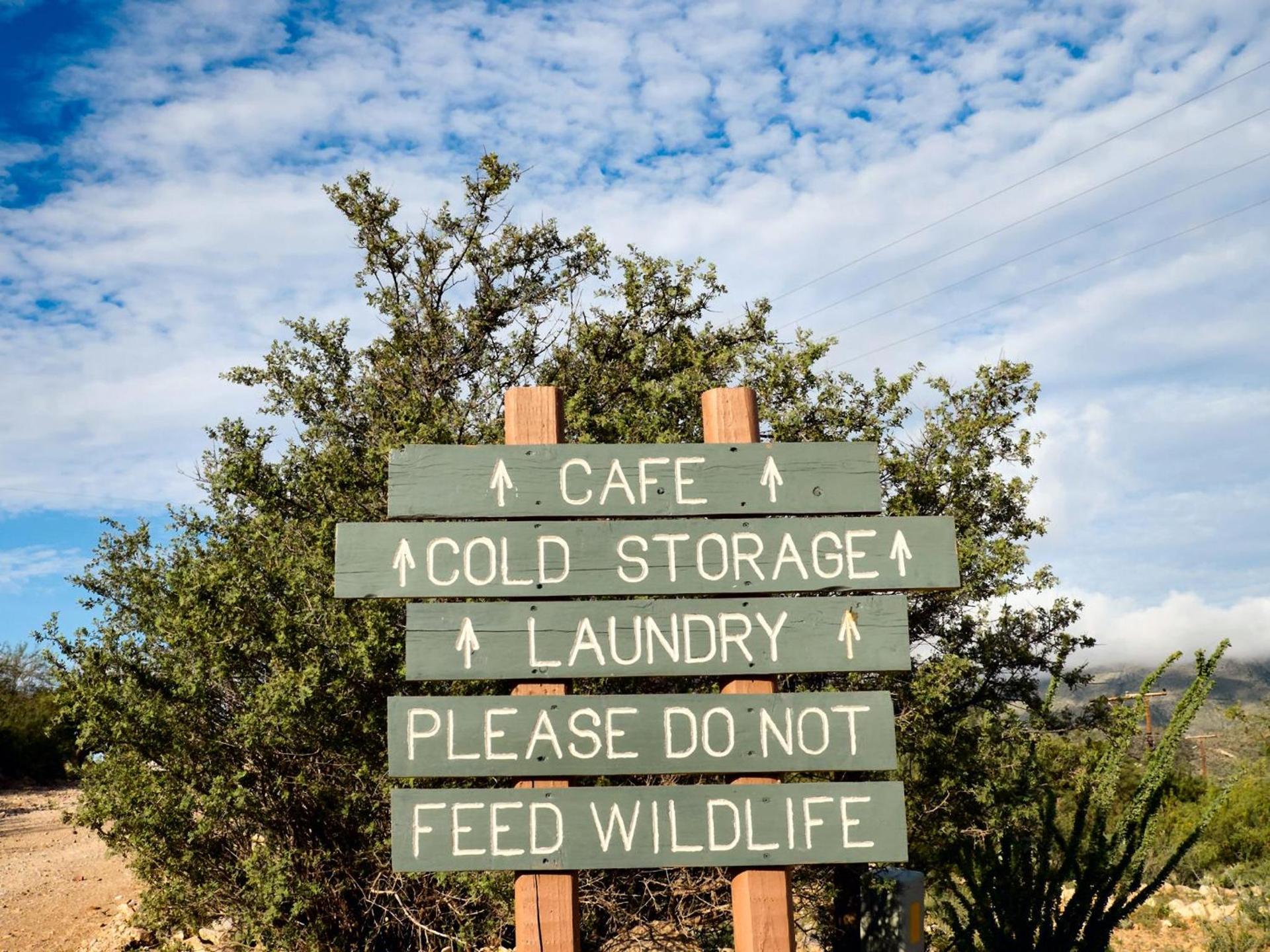 Terlingua Ranch Lodge photo 59