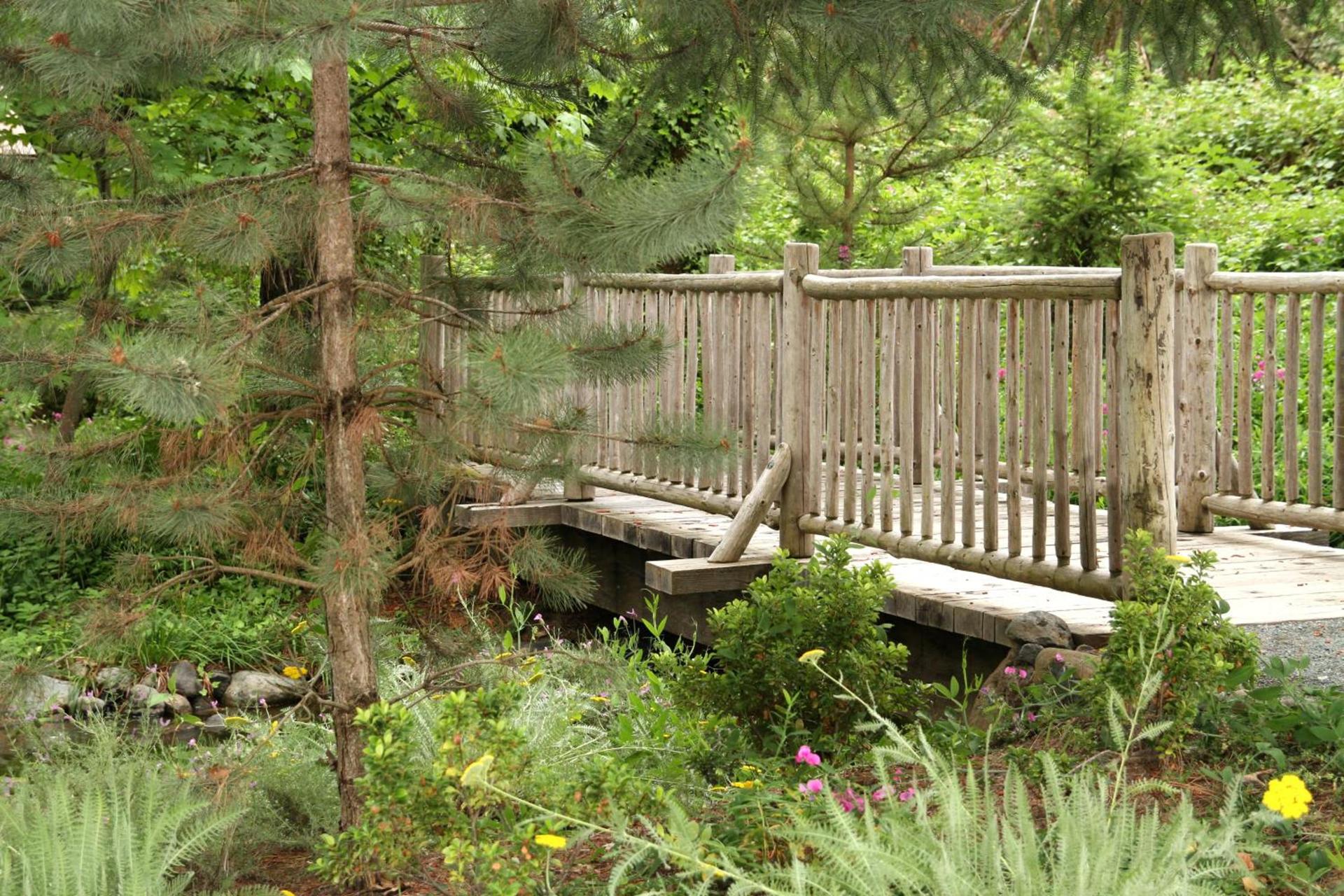 Weasku Inn photo 68