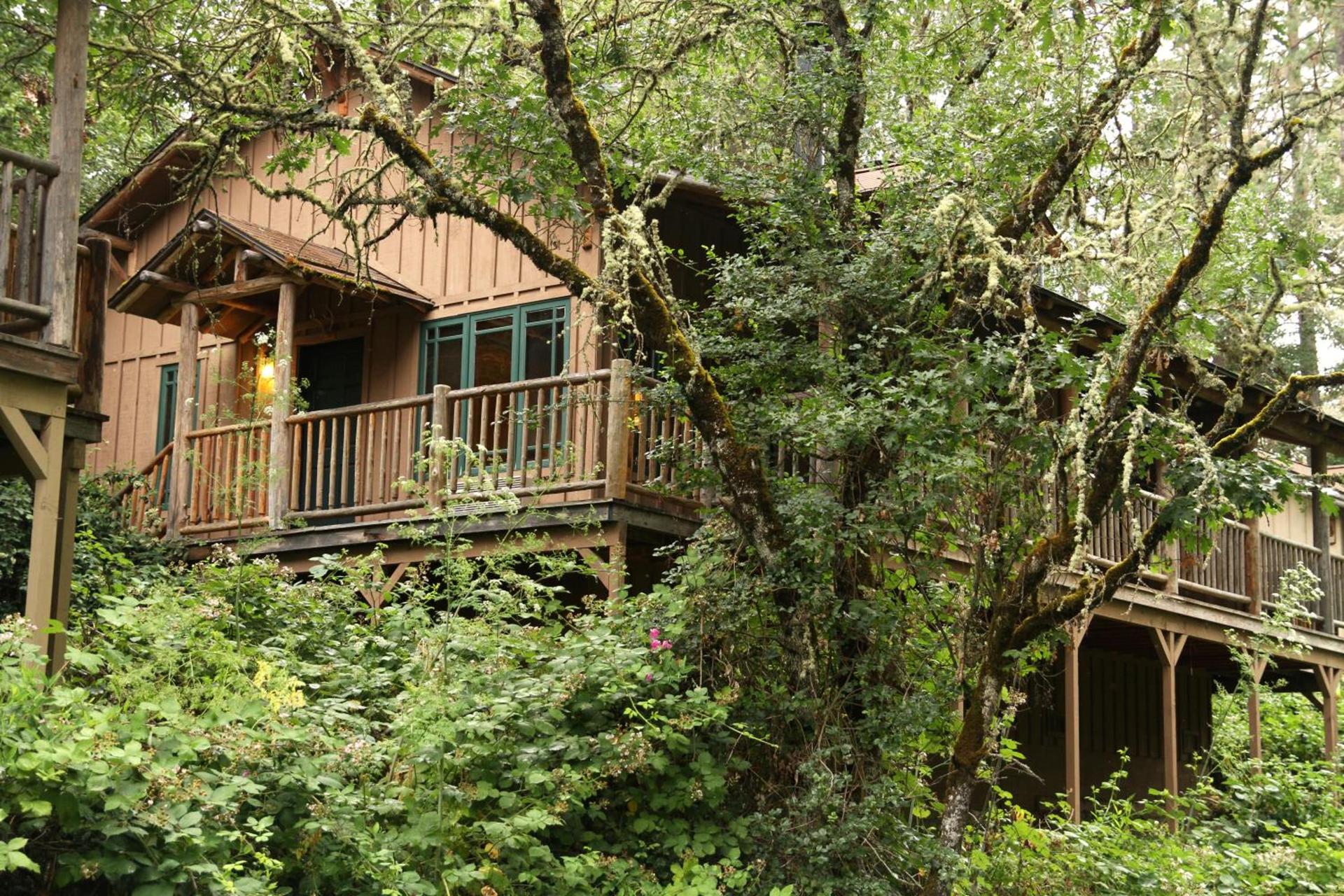Weasku Inn photo 85