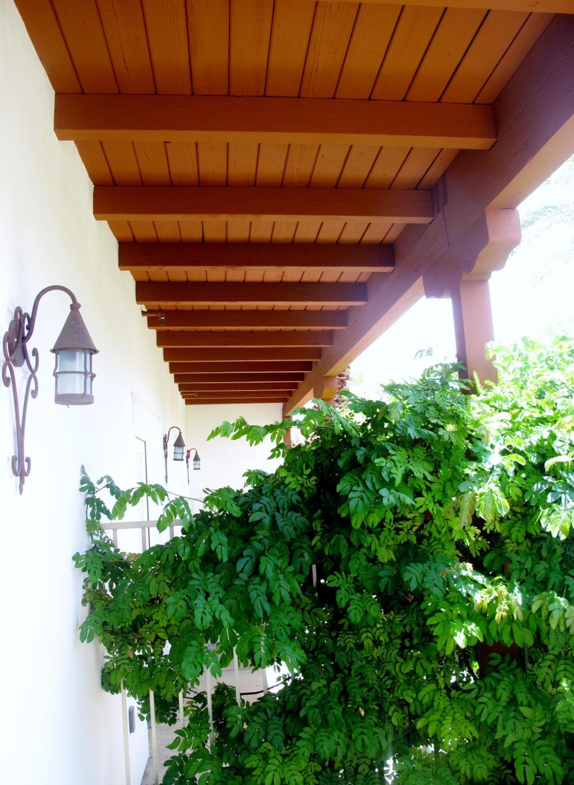 Alcazar Palm Springs photo 19