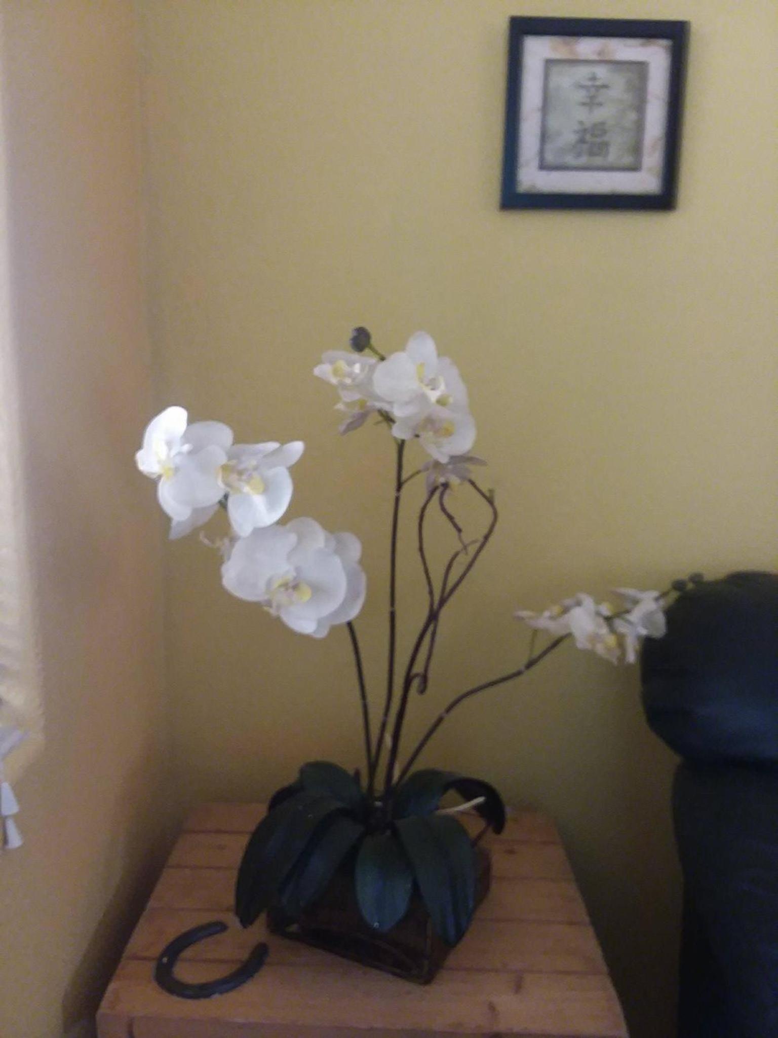 My Place Suites photo 54