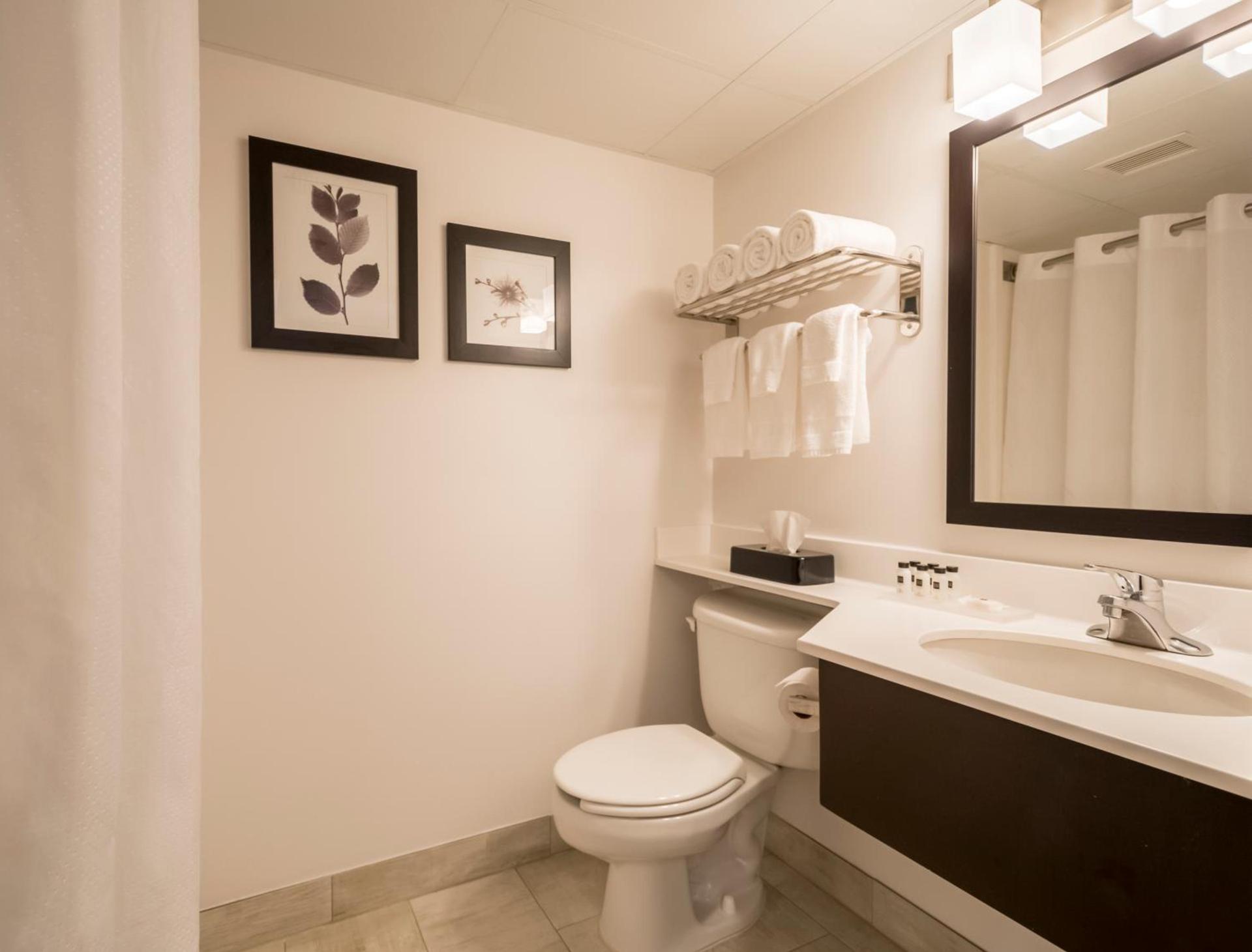 Country Inn & Suites by Radisson, Rochester-Pittsford-Brighton, NY photo 20