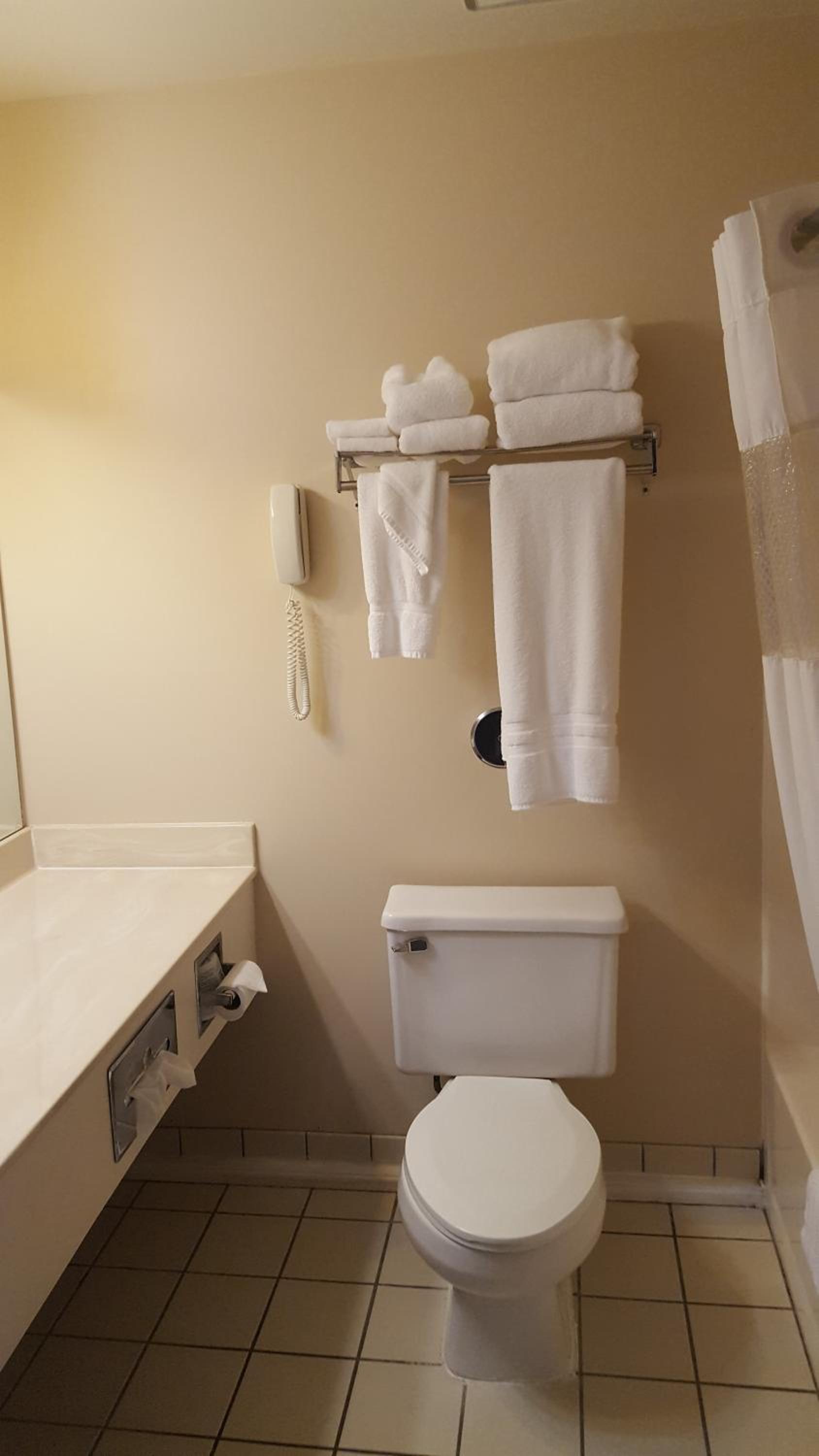 Flat Creek Lodge photo 17
