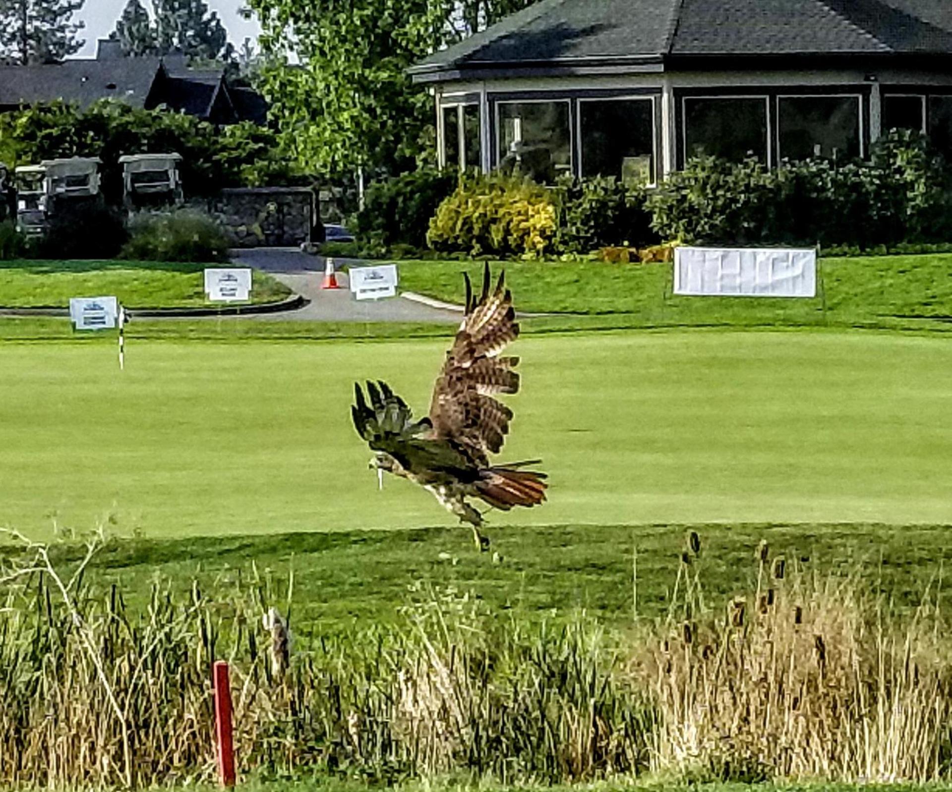 Resort at Eagle Point Golf Club Lodging photo 53