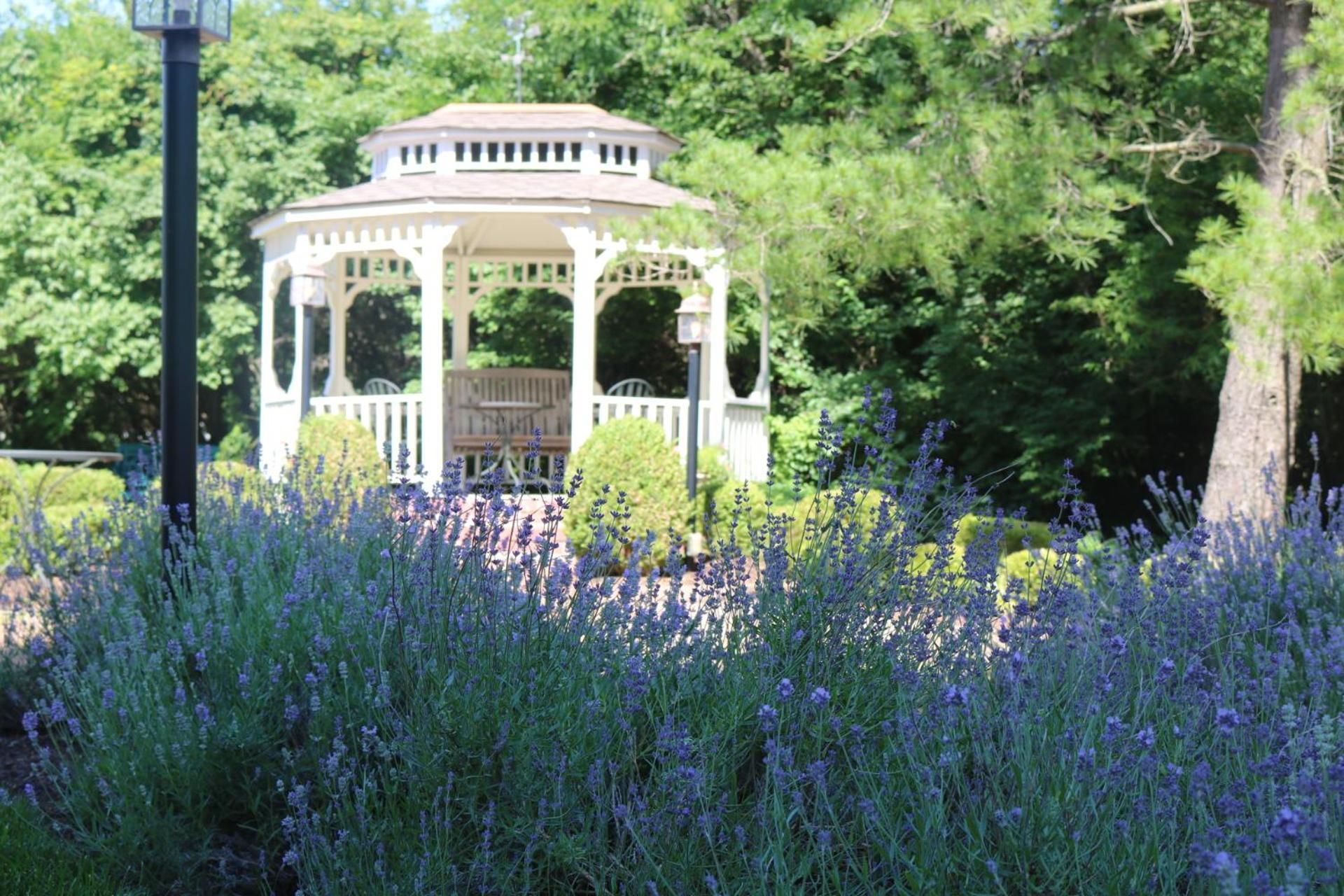 Kirkwood Inn photo 25