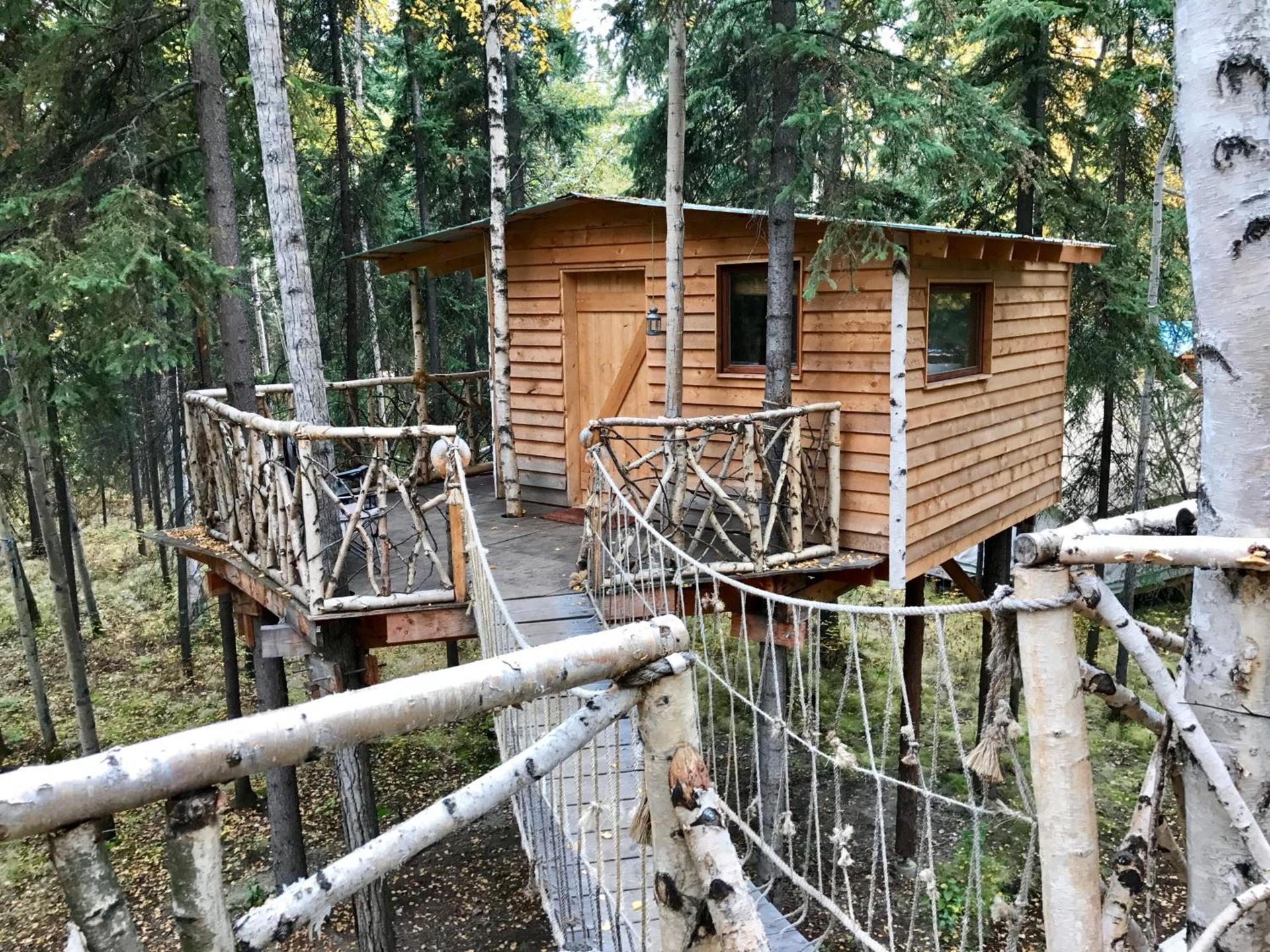 Sven's Basecamp Hostel photo 46