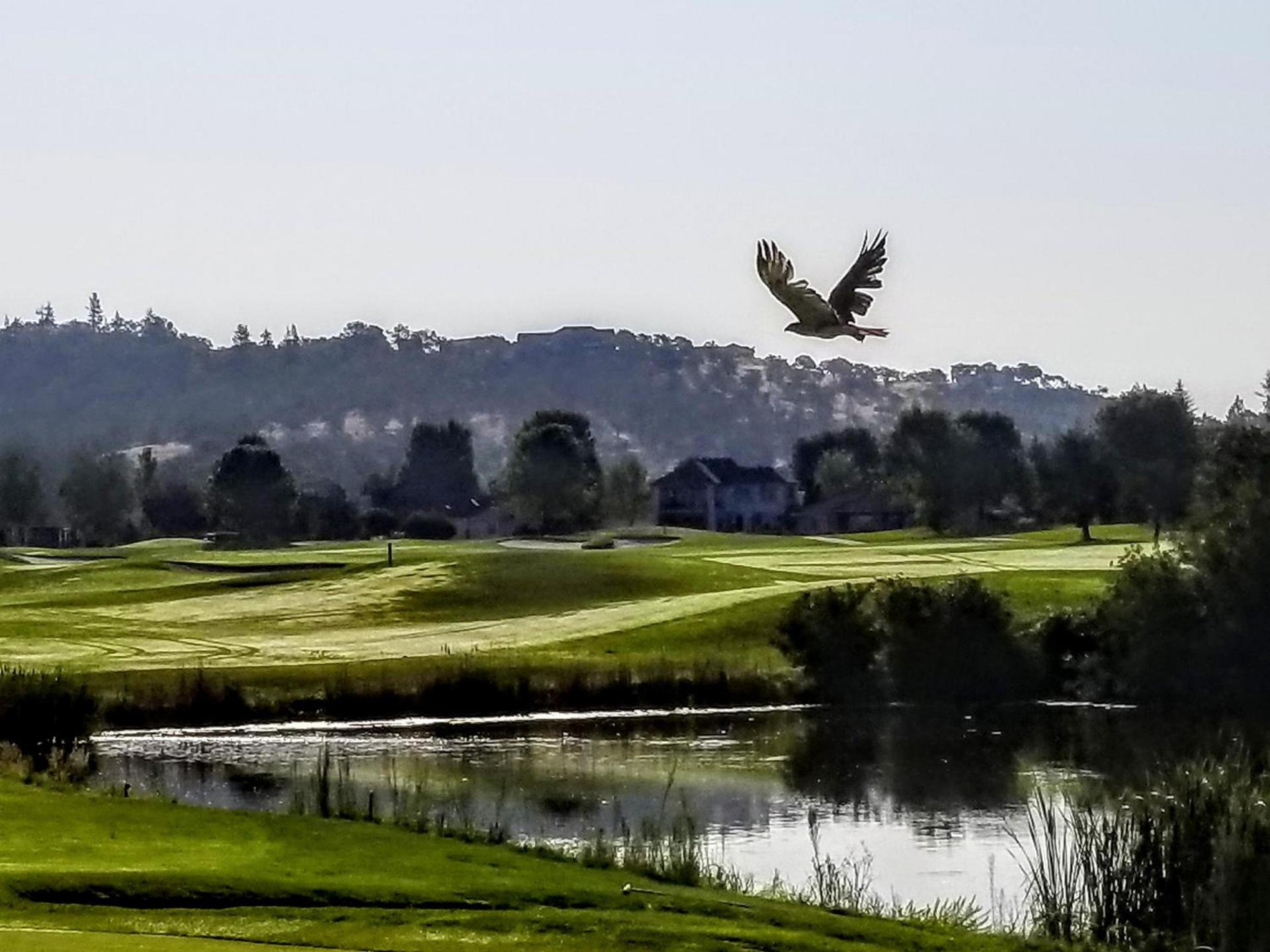Resort at Eagle Point Golf Club Lodging photo 42