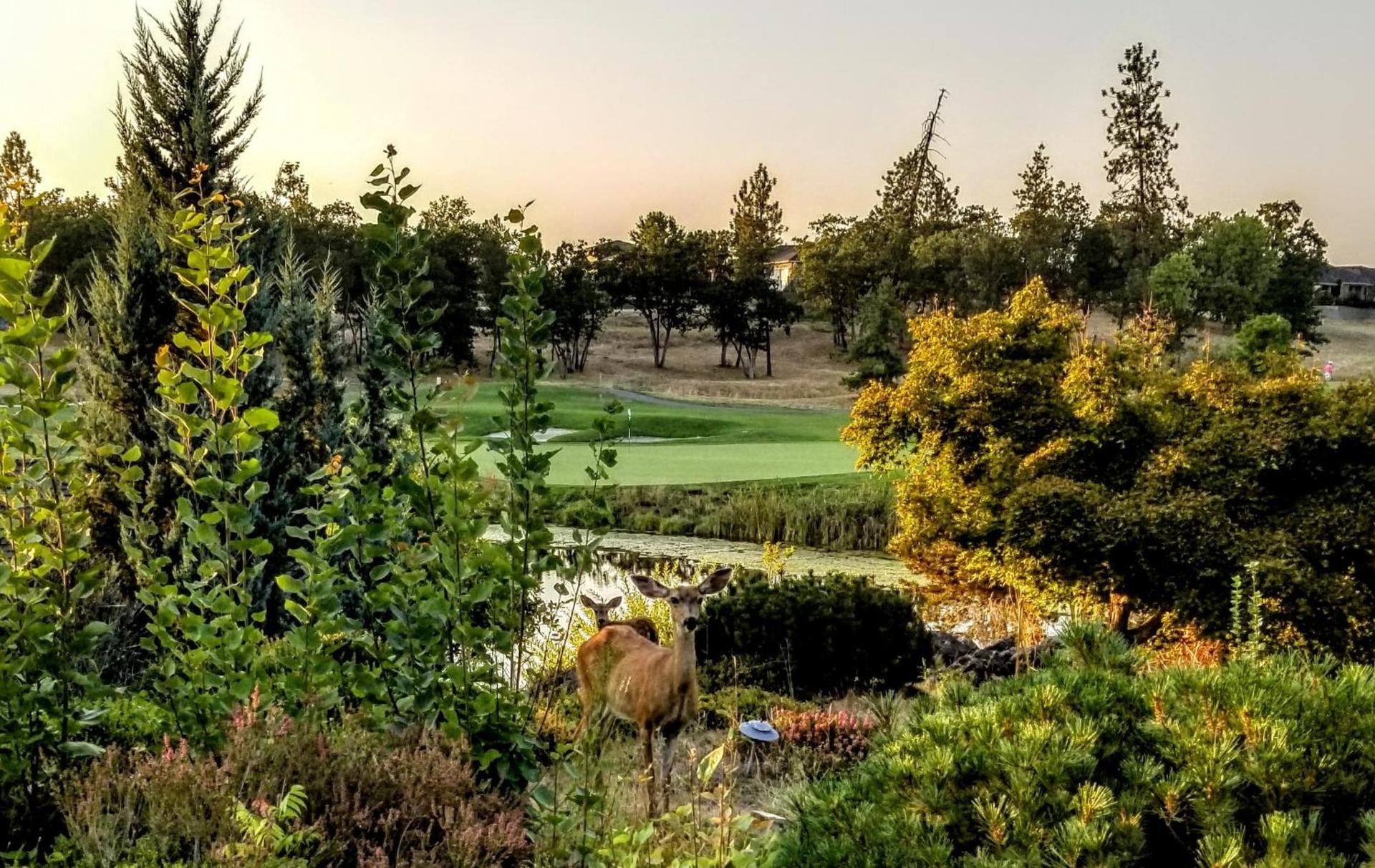 Resort at Eagle Point Golf Club Lodging photo 38