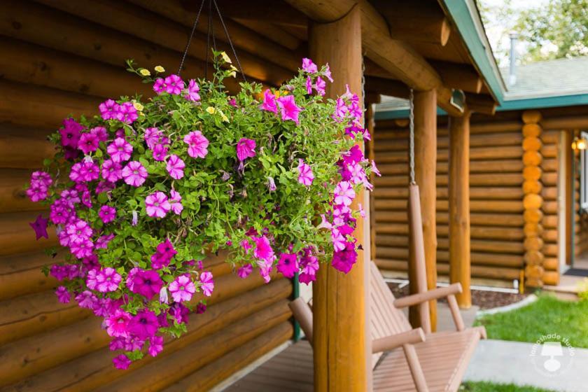 Cabin Creek Inn photo 37
