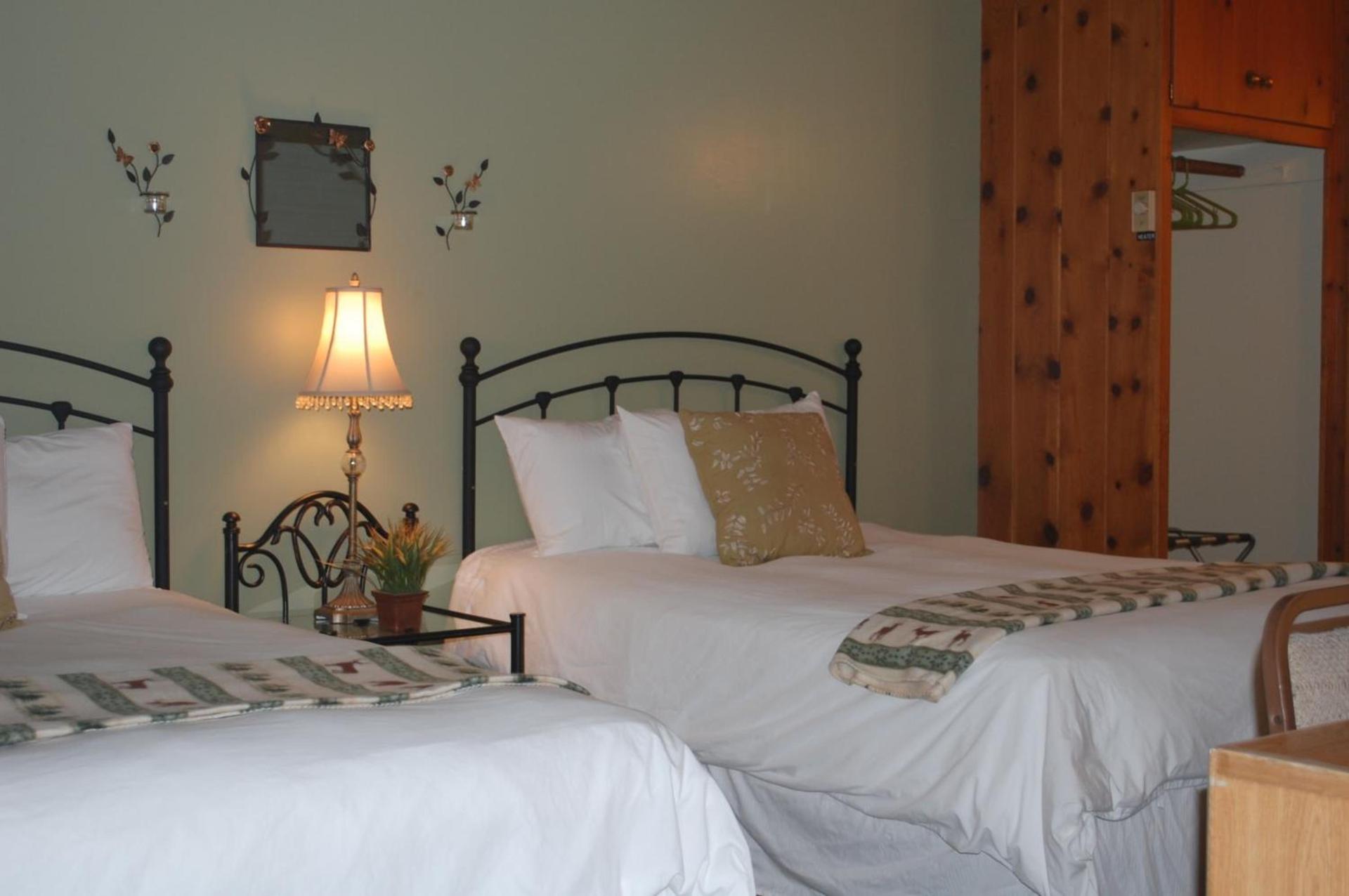 Trees Motel photo 47