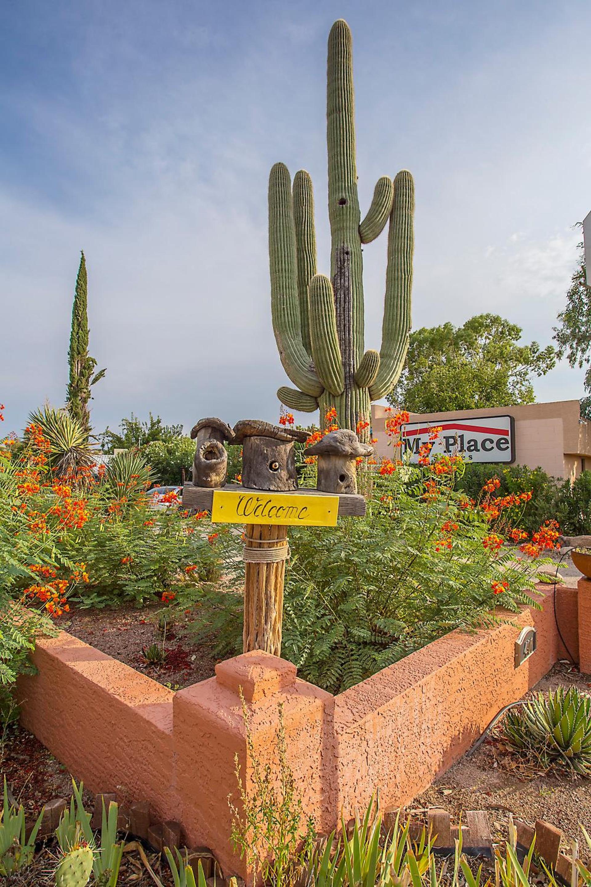 My Place Suites — hotel in Wickenburg