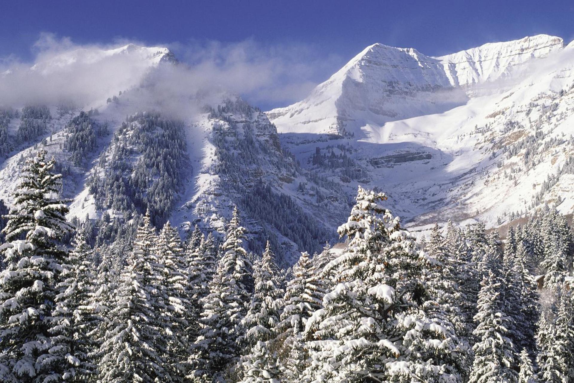 Zermatt Utah Resort & Spa Trademark Collection by Wyndham photo 86