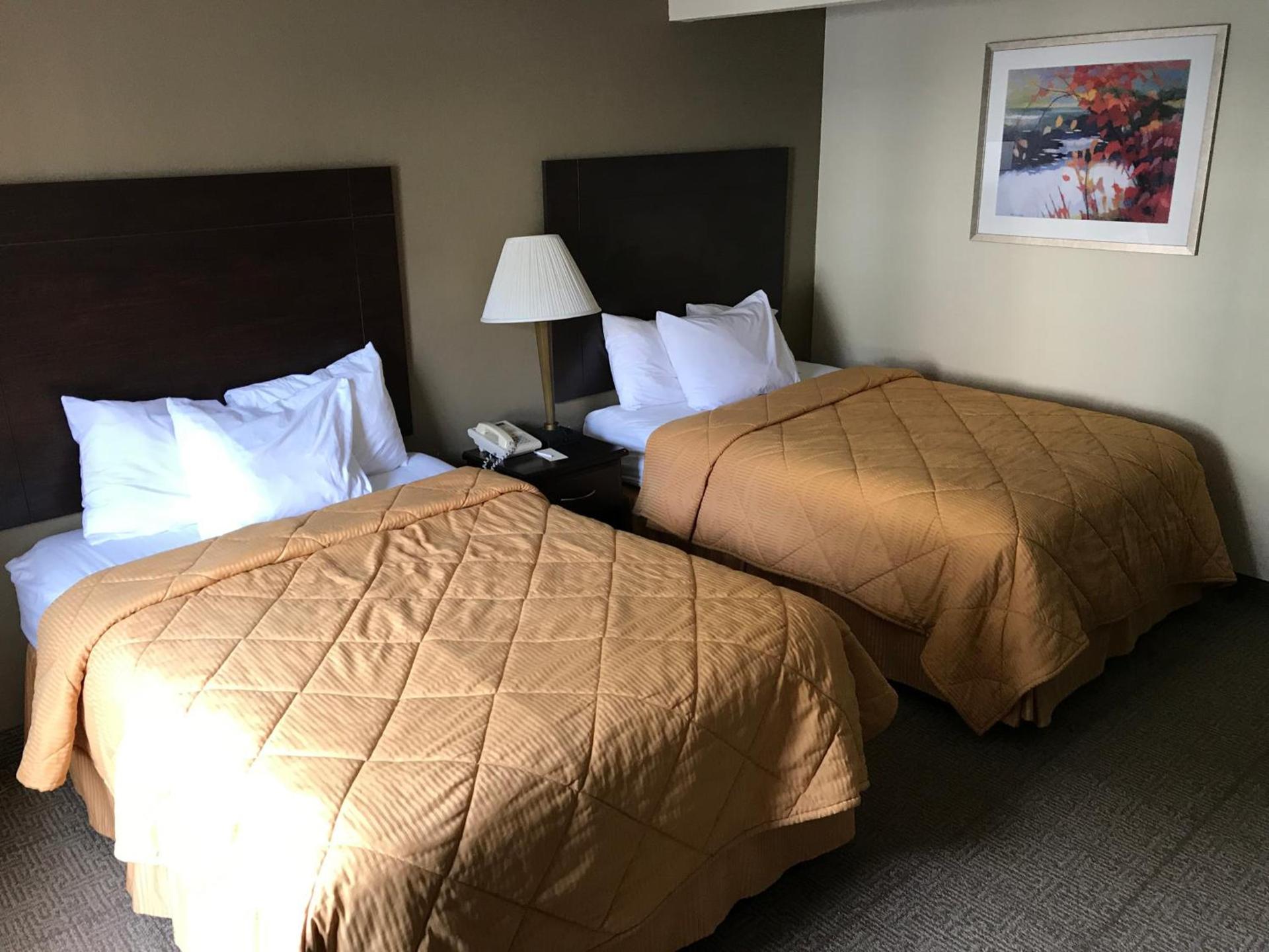 Clinton Inn & Suites photo 7