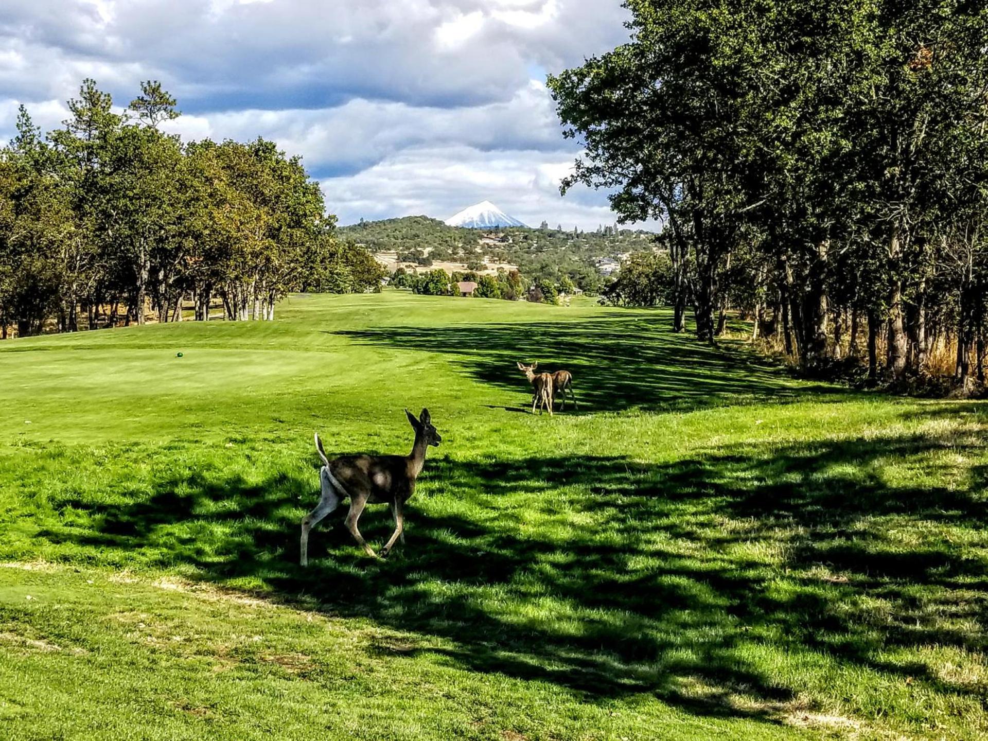 Resort at Eagle Point Golf Club Lodging photo 29