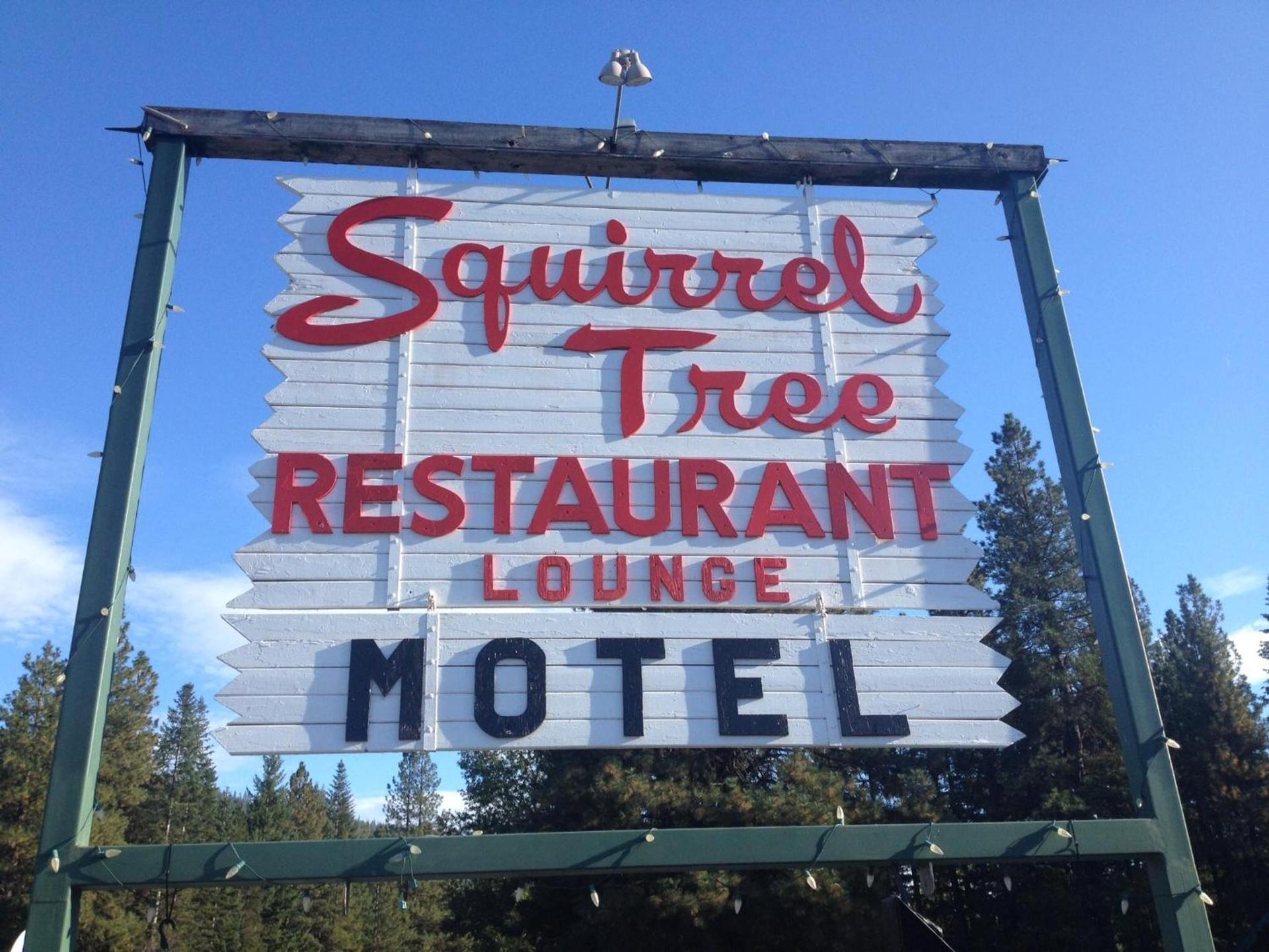 Squirrel Tree Resort photo 6
