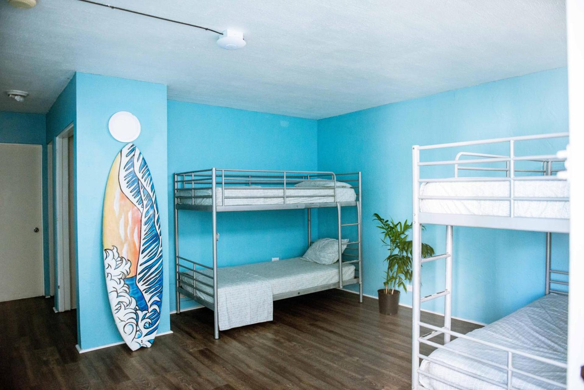 Polynesian Hostel Beach Club photo 7