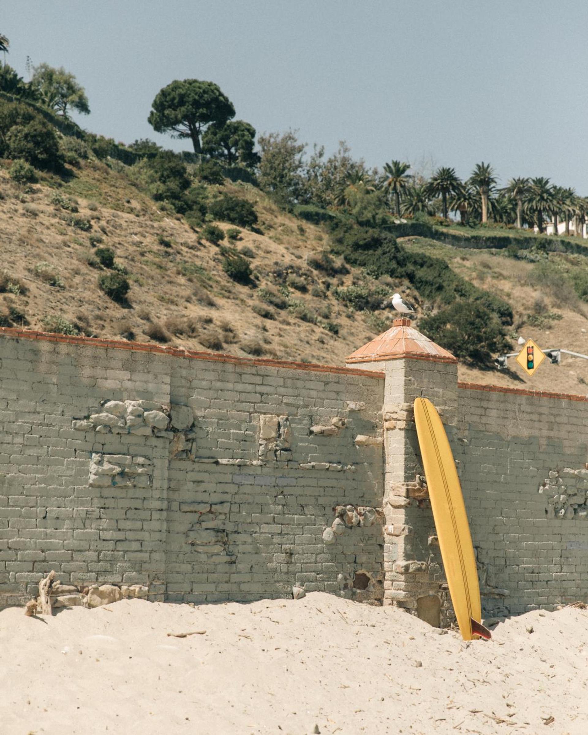 The Surfrider Malibu photo 66