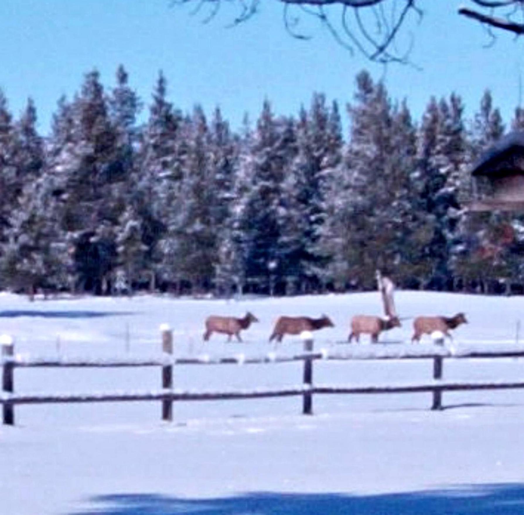 DiamondStone Guest Lodges photo 51