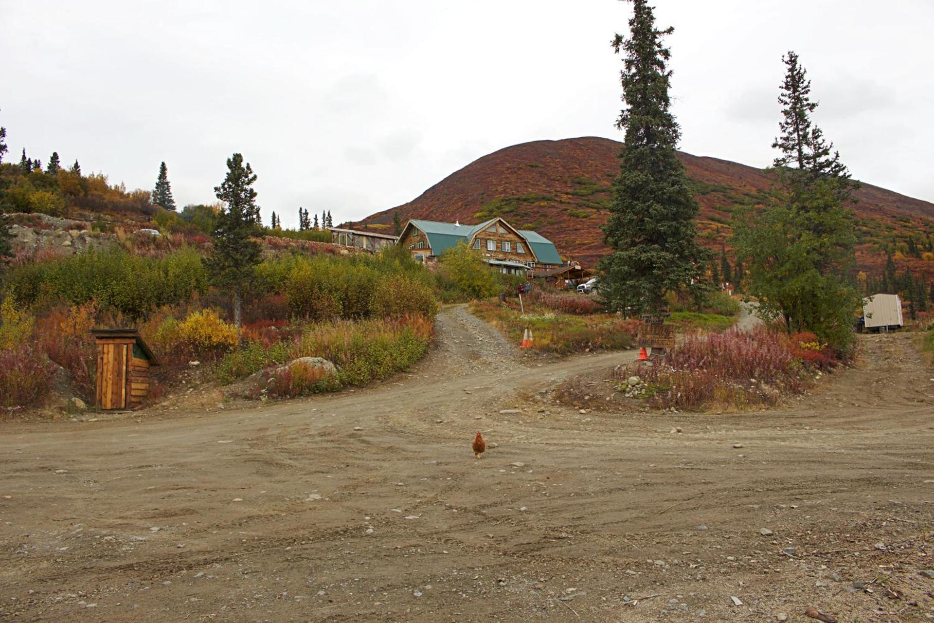Alpine Creek Lodge photo 30