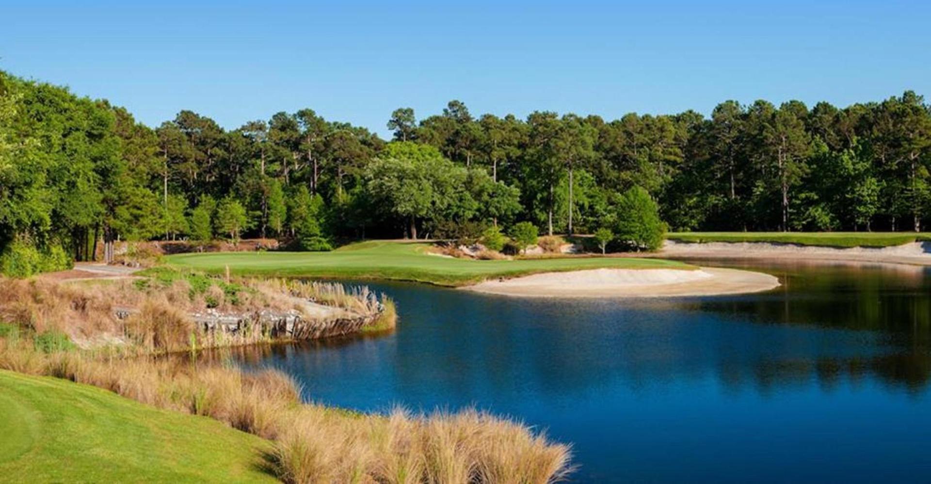 Pawley's True Blue photo 7